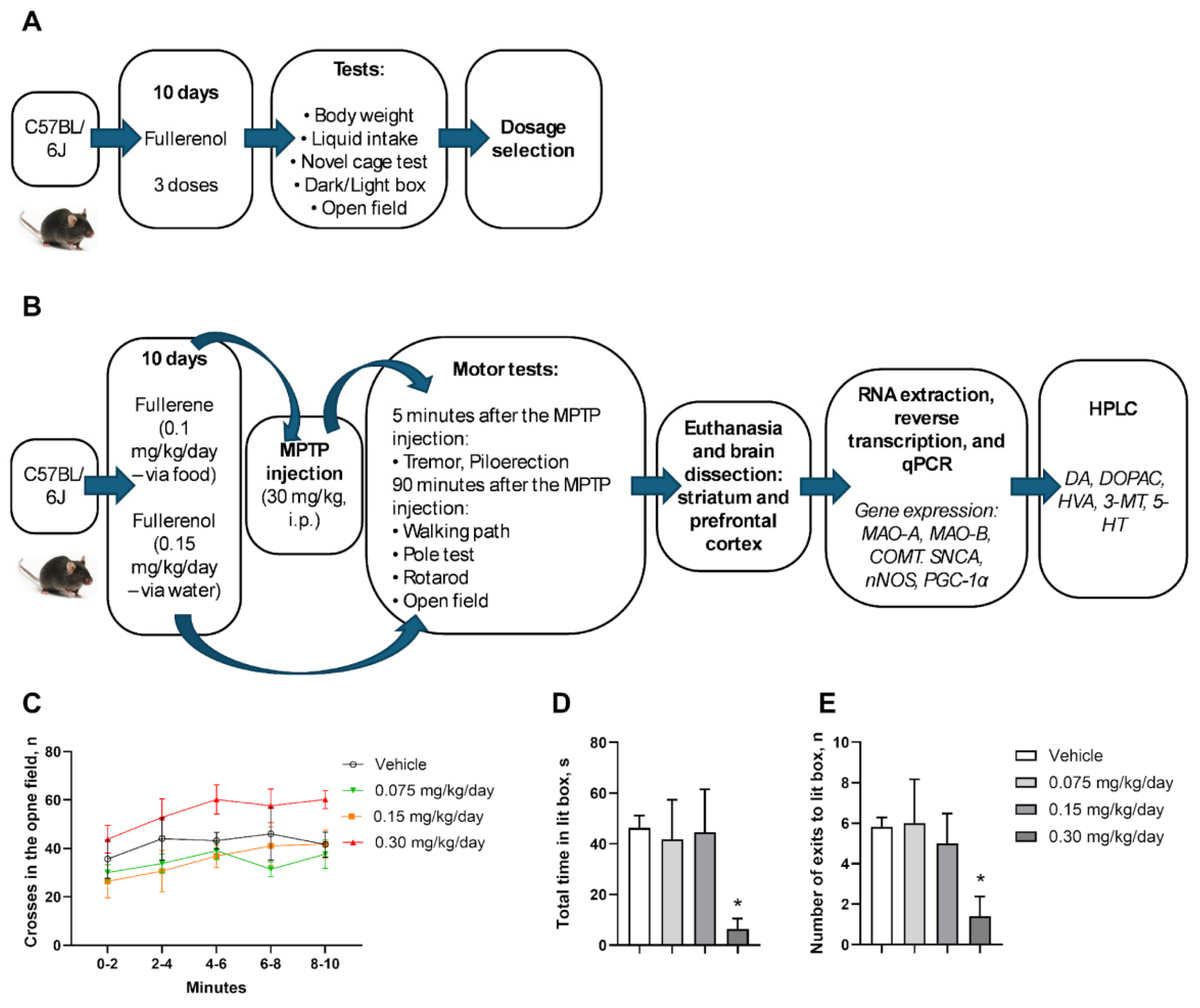 Biomedicines 13 02425 g001