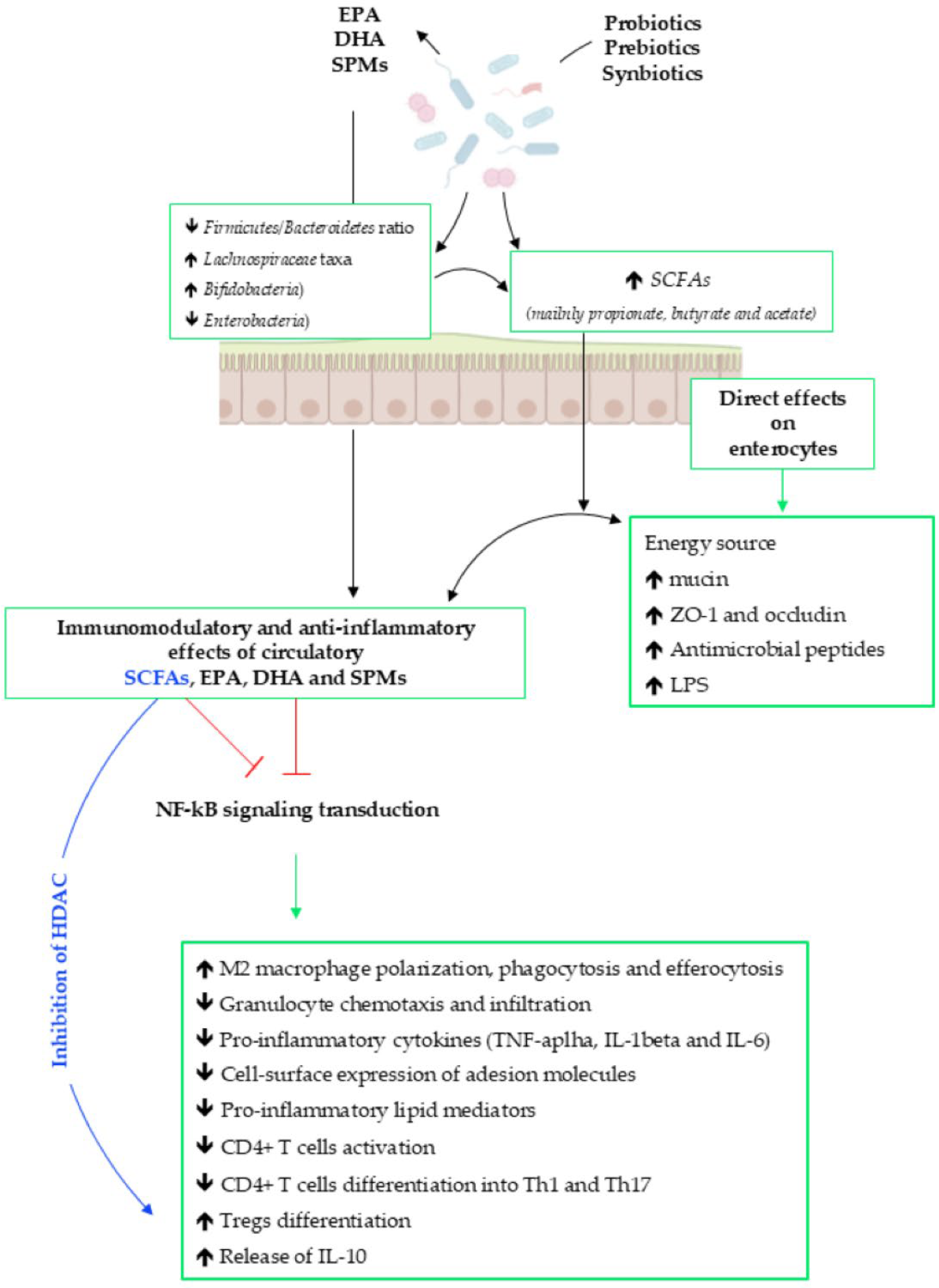 Biomedicines 13 02428 g002