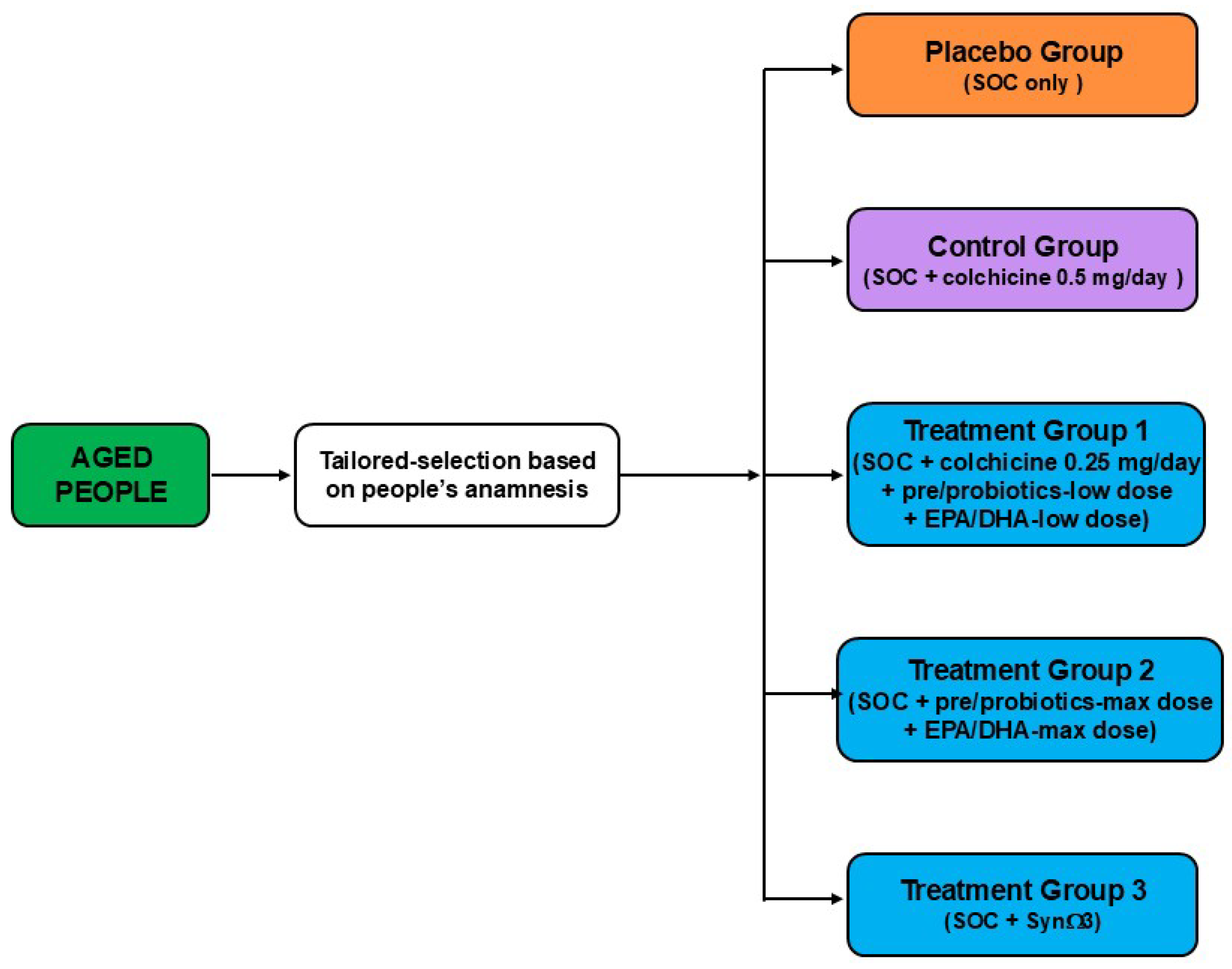 Biomedicines 13 02428 g004