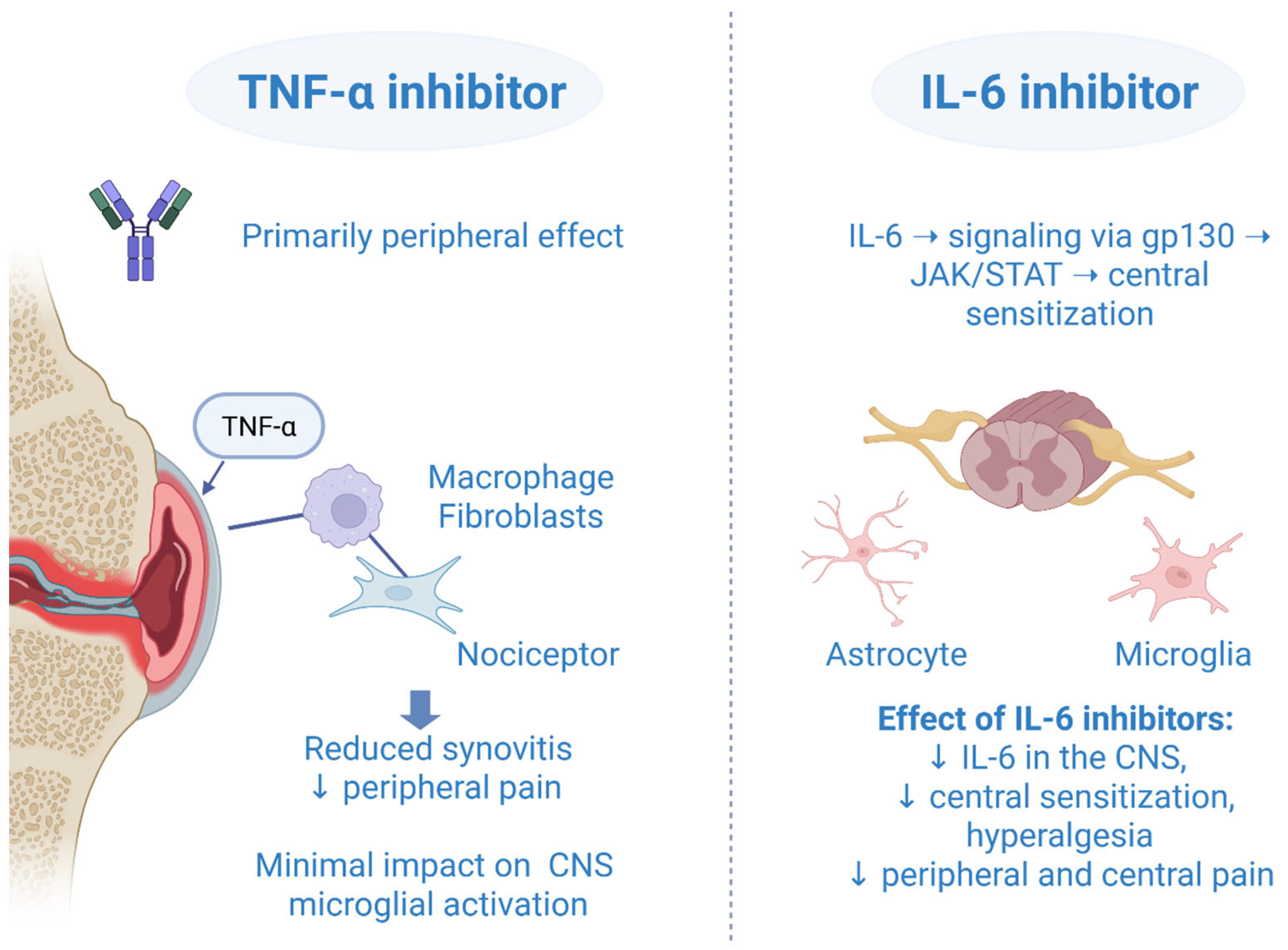 Biomedicines 13 02429 g001 Biomedicines 13 02429 g001