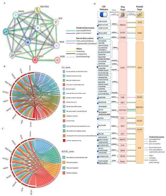 Biomedicines 13 02433 g008