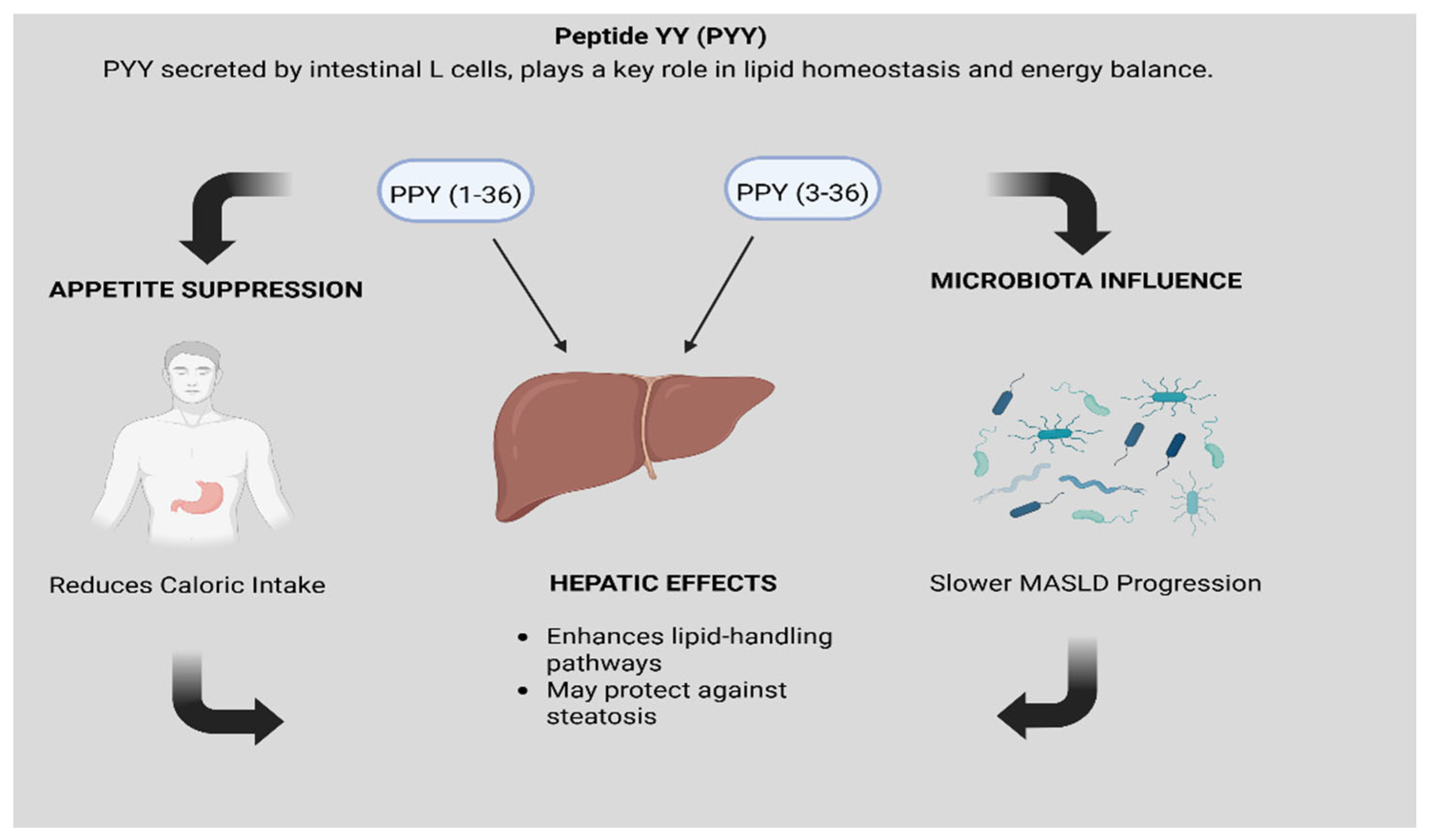 Biomedicines 13 02437 g004