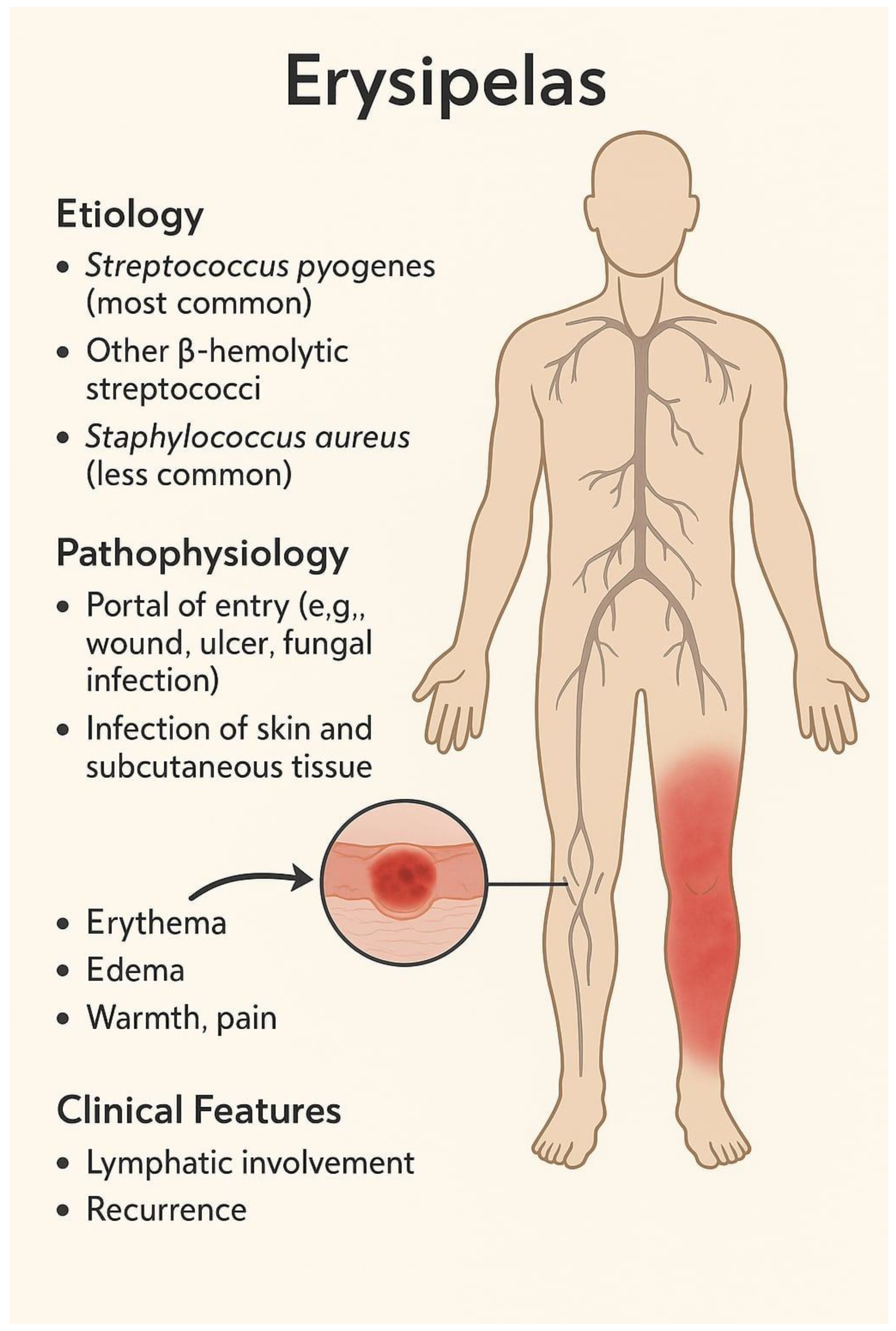 Biomedicines 13 02448 g001