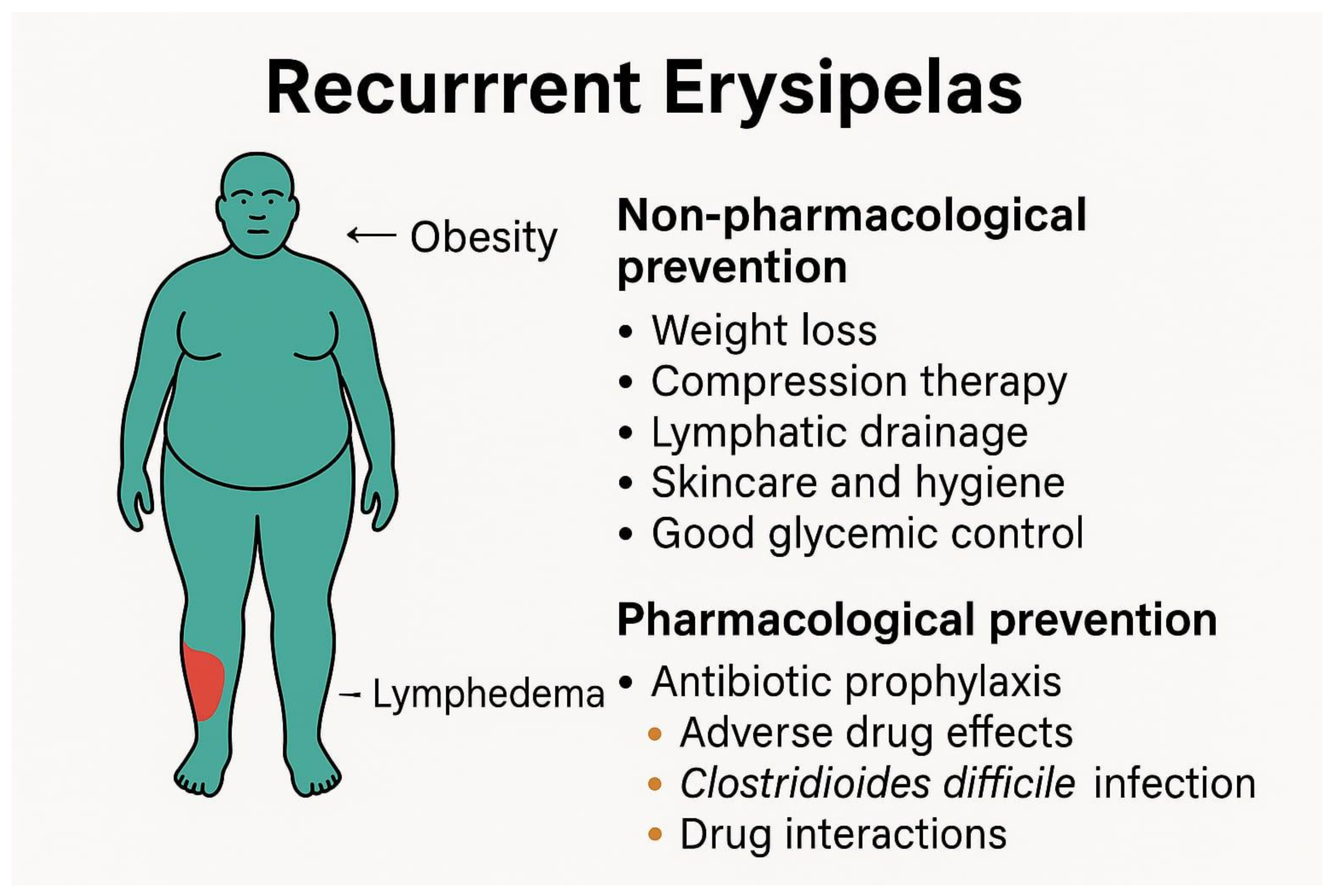Biomedicines 13 02448 g002
