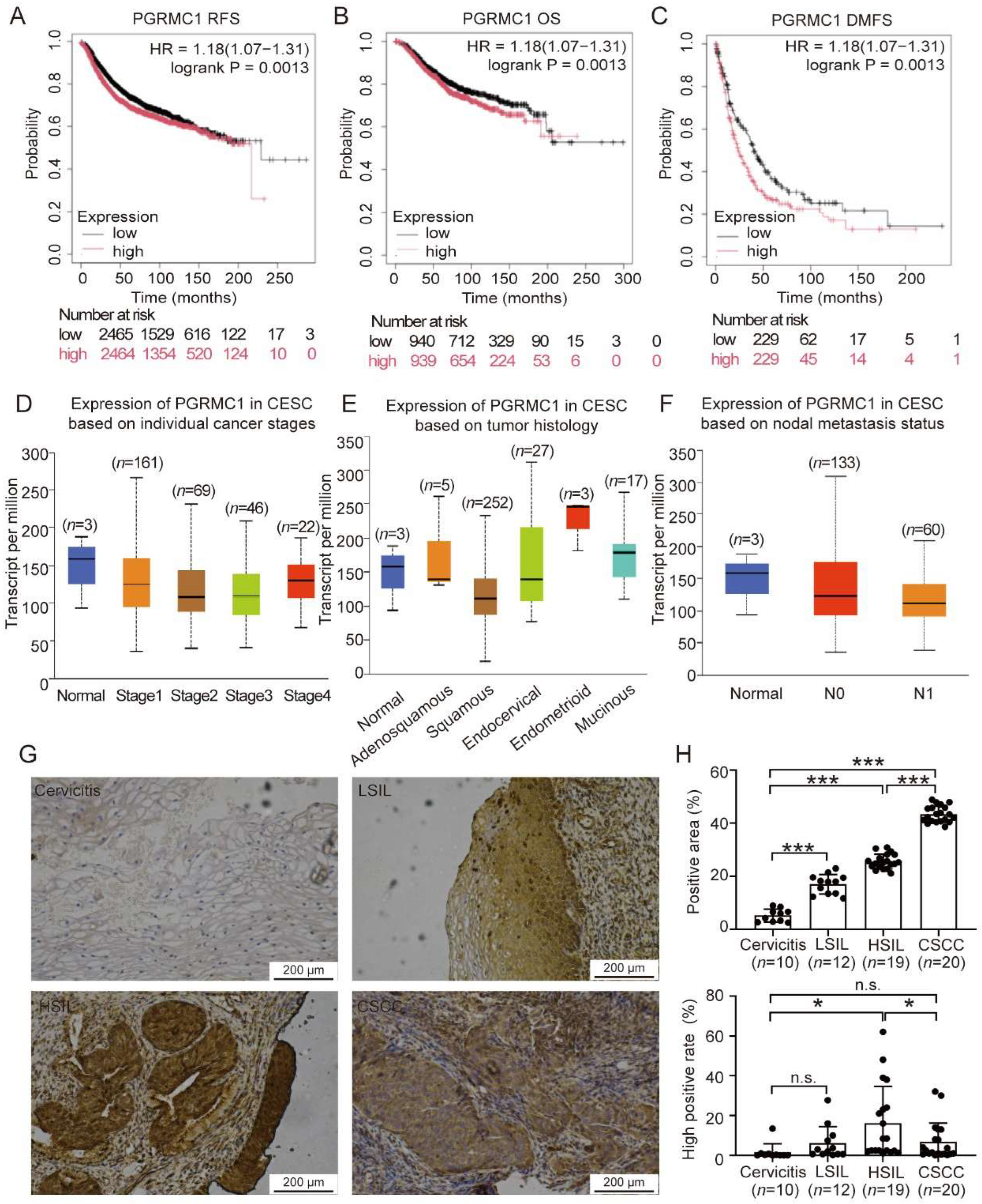 Biomedicines 13 02454 g001 Biomedicines 13 02454 g001