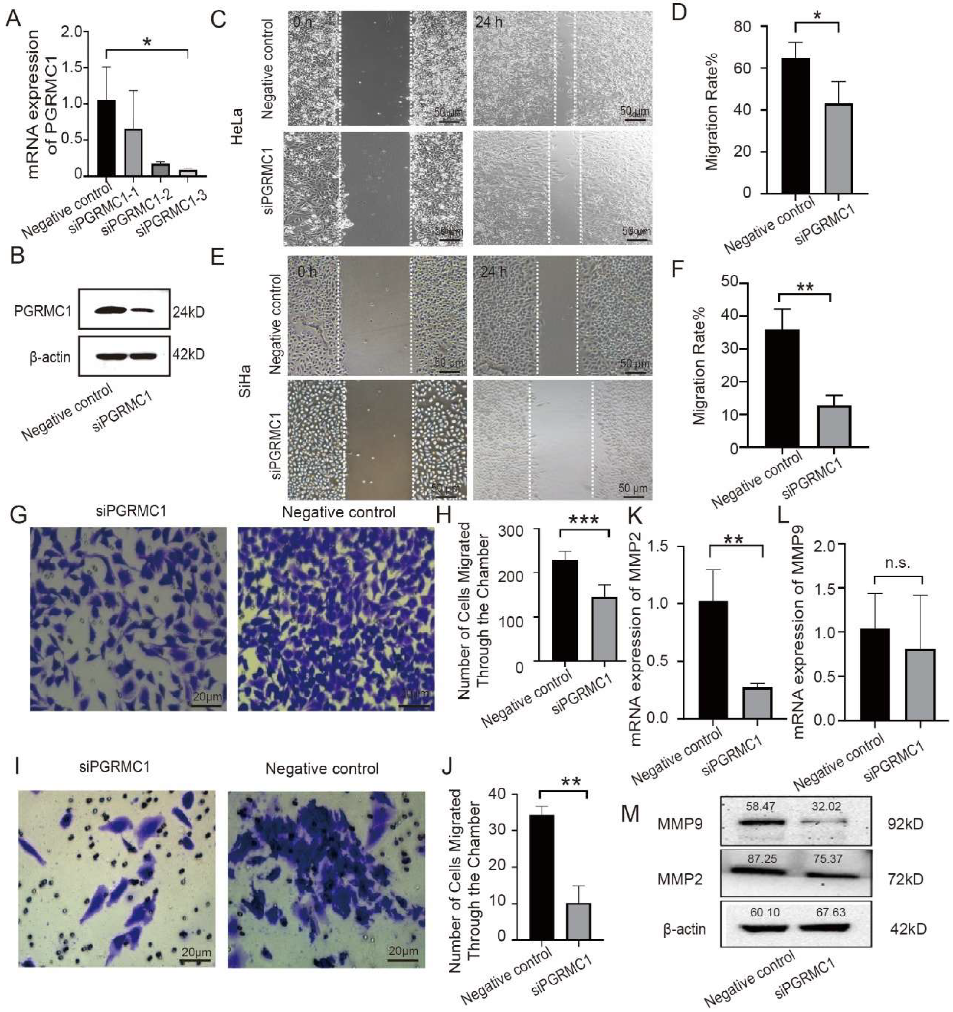 Biomedicines 13 02454 g002 Biomedicines 13 02454 g002