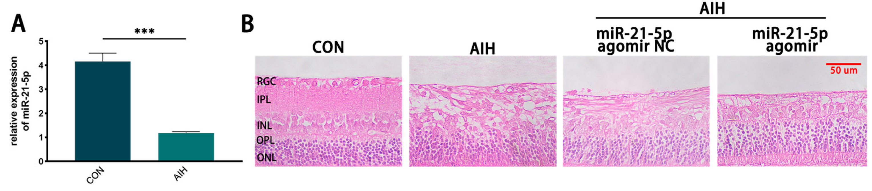Biomedicines 13 02456 g001