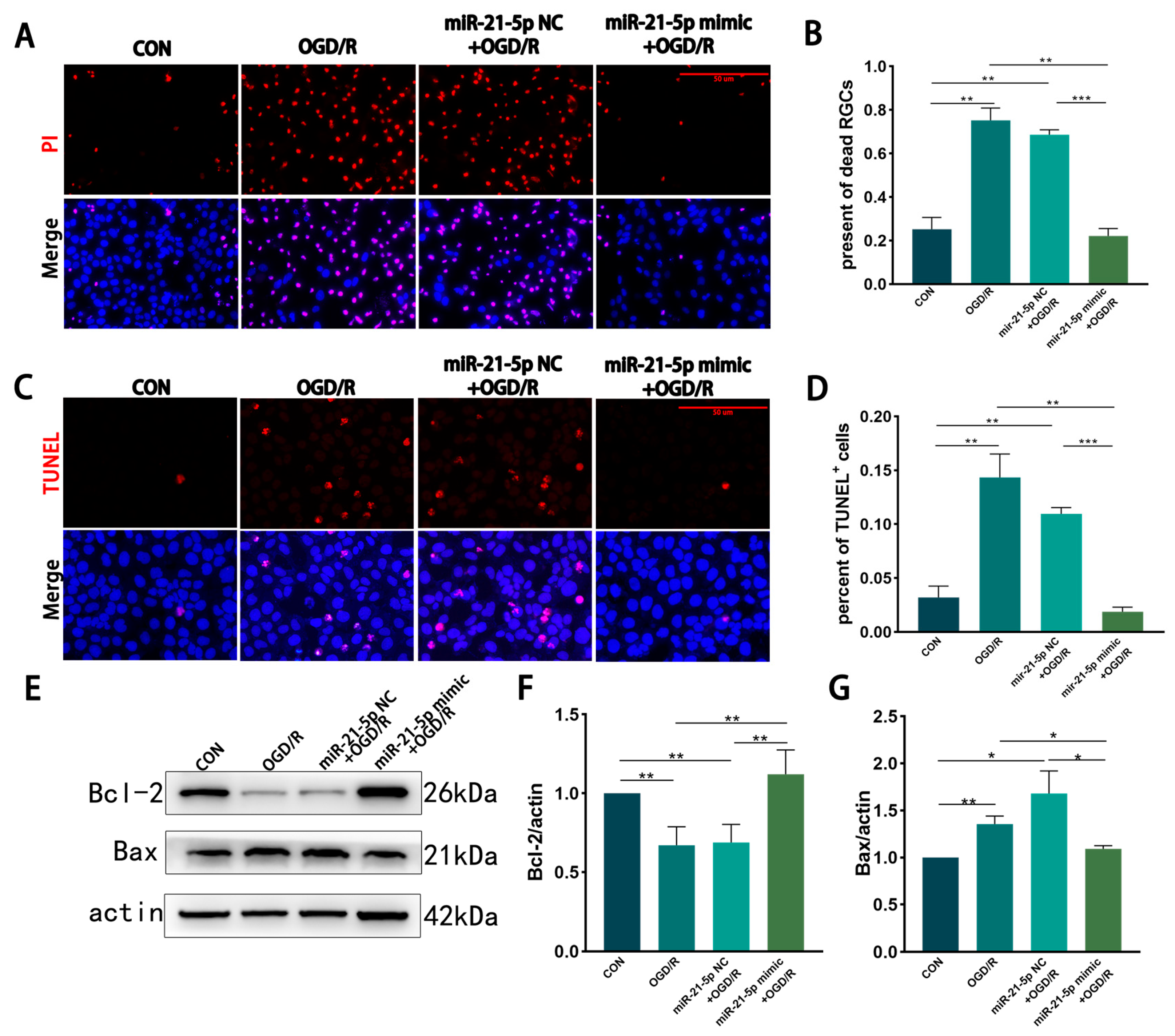 Biomedicines 13 02456 g003