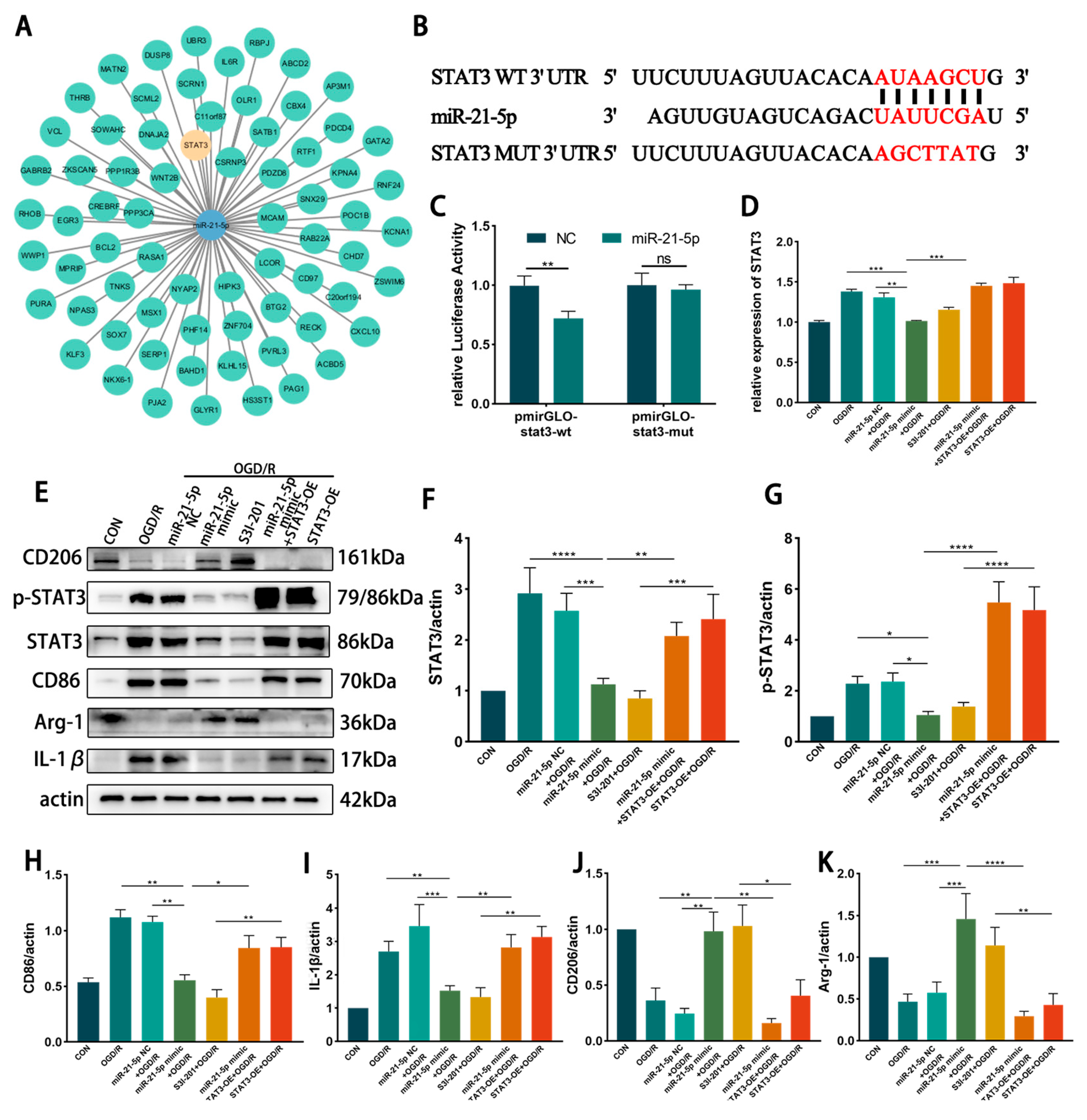 Biomedicines 13 02456 g004a