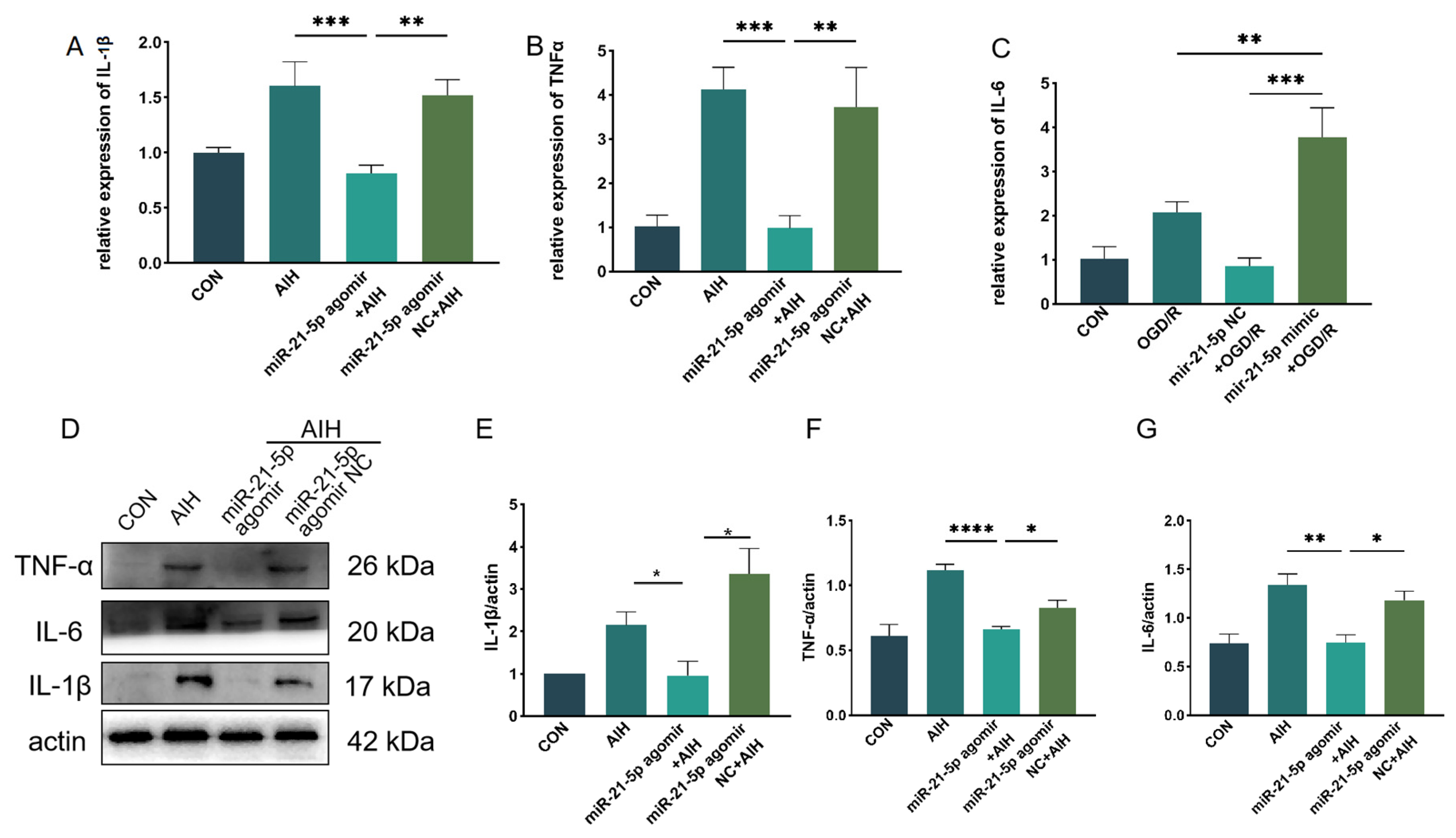 Biomedicines 13 02456 g0a2