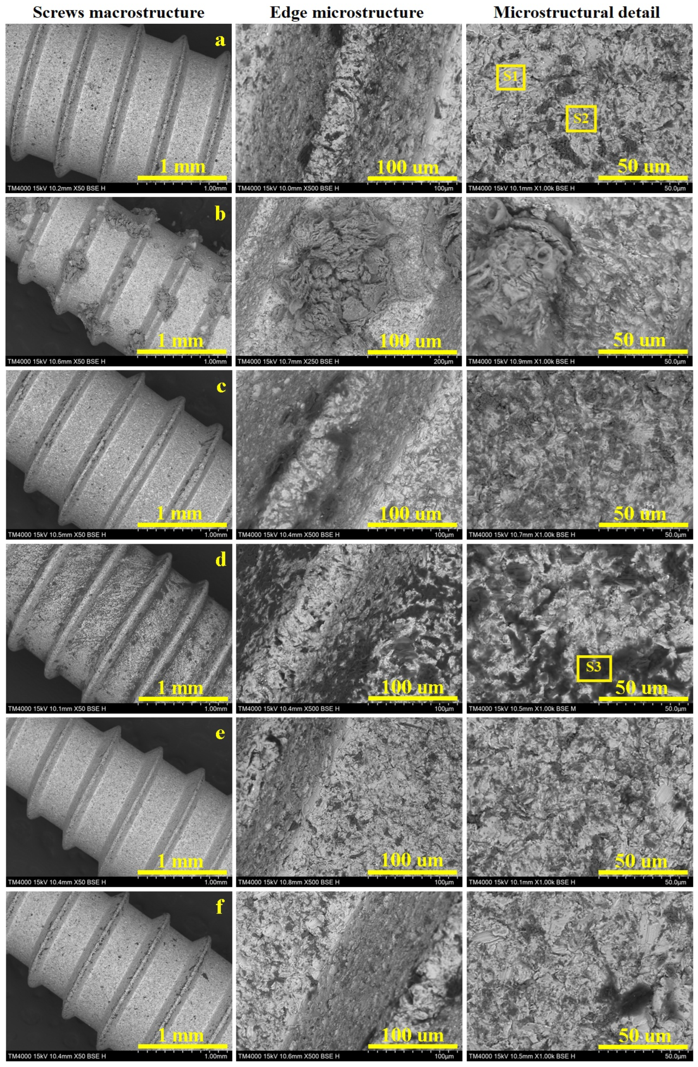 Biomedicines 13 02457 g007