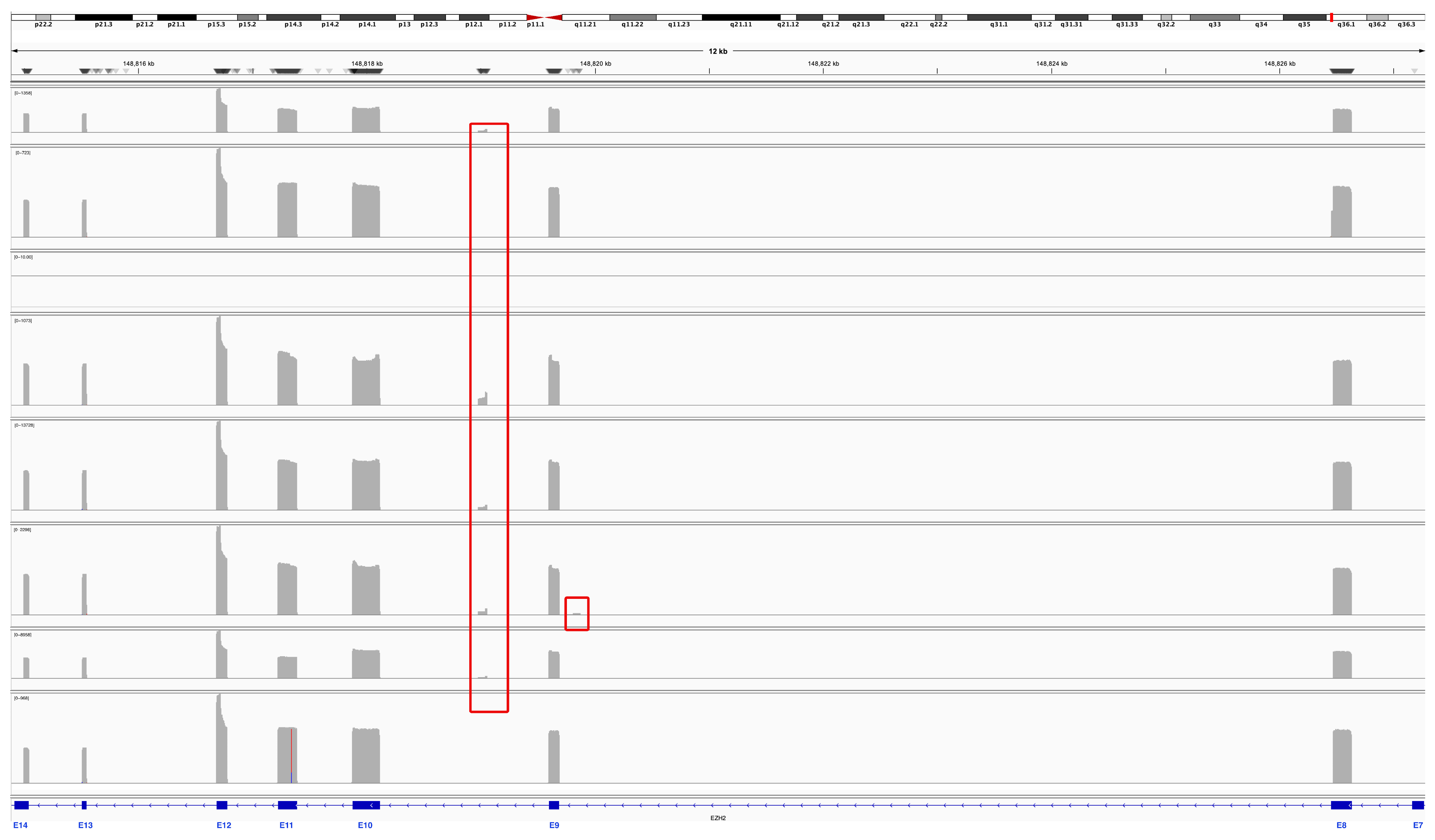 Biomedicines 13 02461 g001