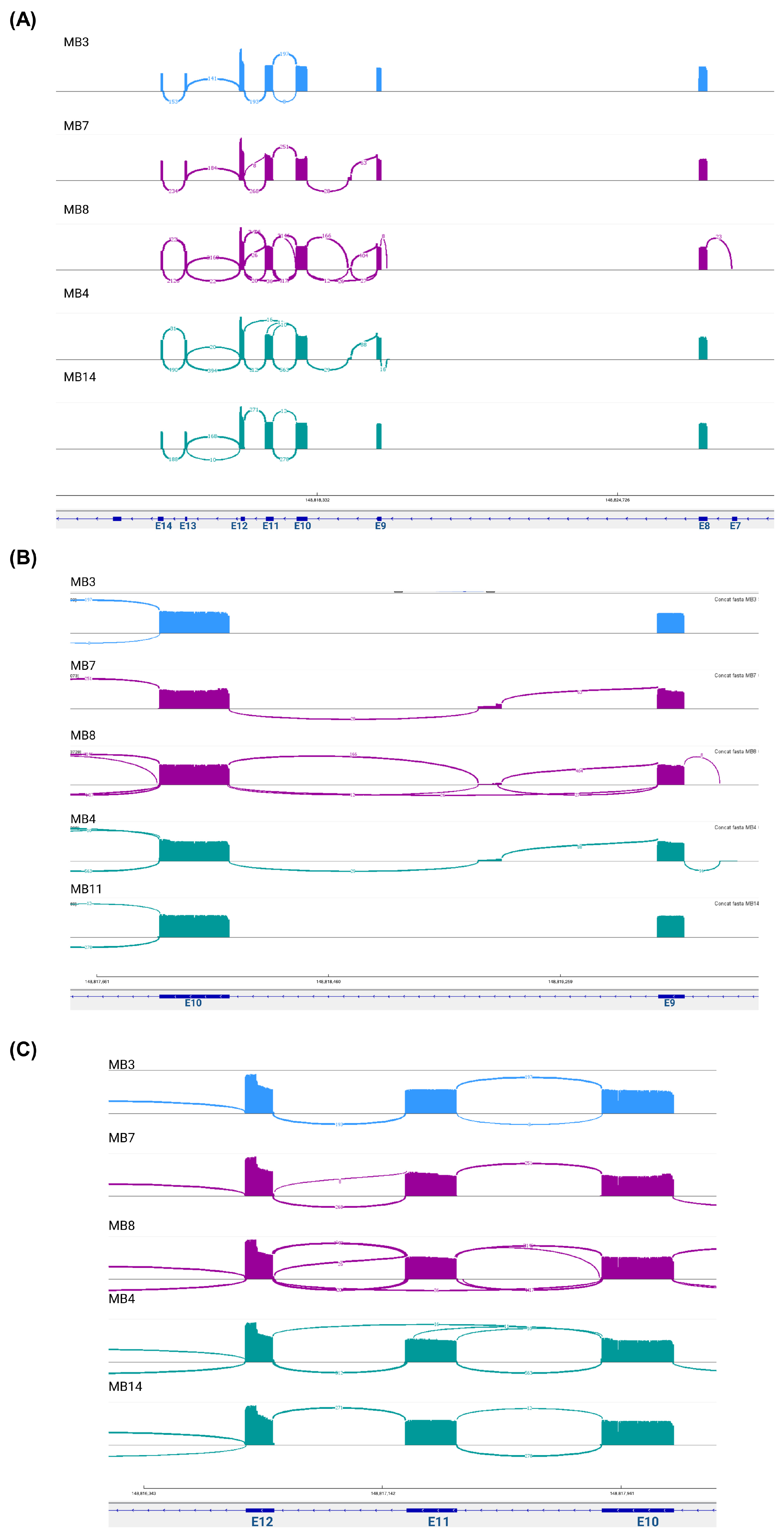 Biomedicines 13 02461 g002