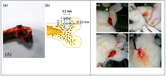 Biomedicines 13 02468 g002
