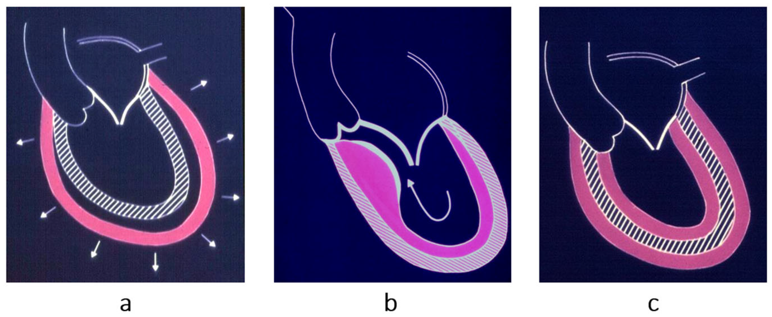 Biomedicines 13 02470 g002