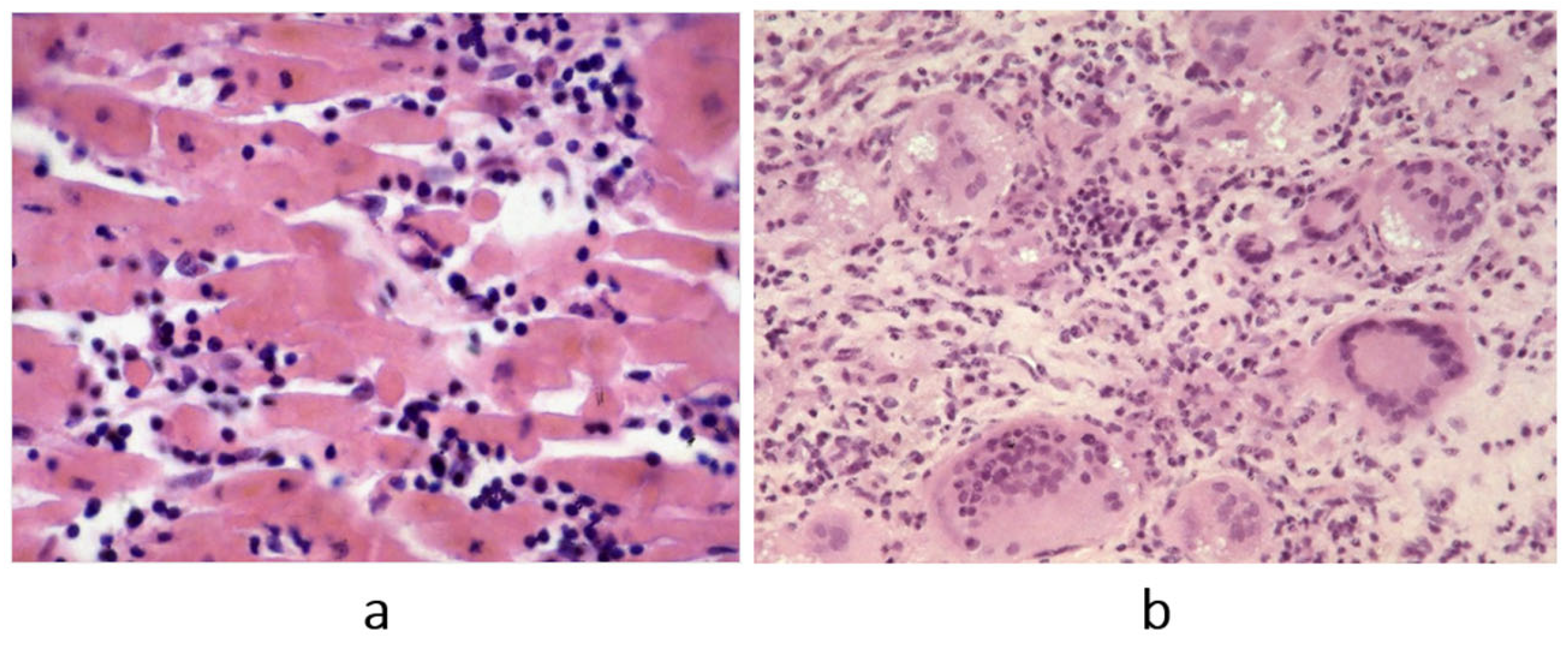 Biomedicines 13 02470 g007