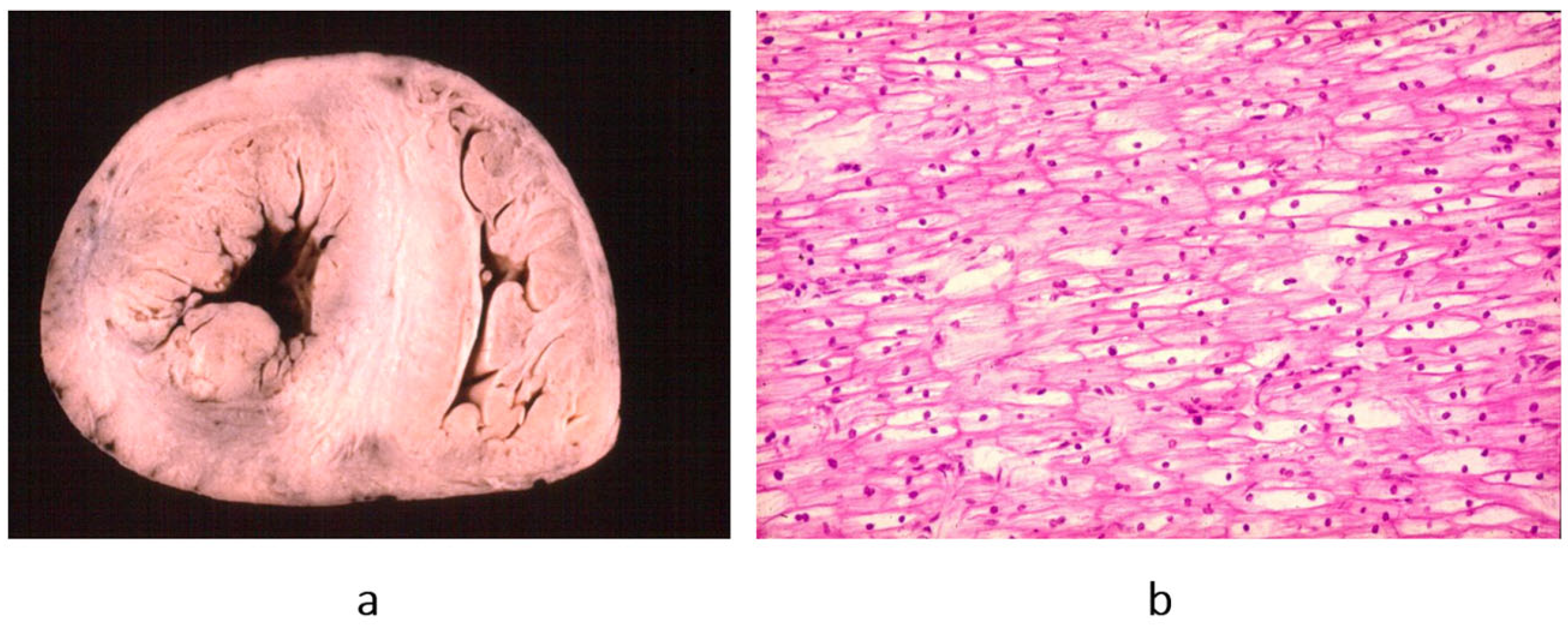 Biomedicines 13 02470 g010