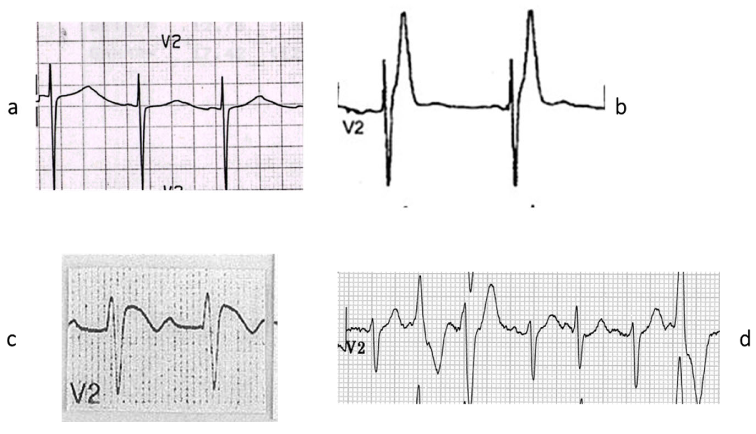 Biomedicines 13 02470 g020