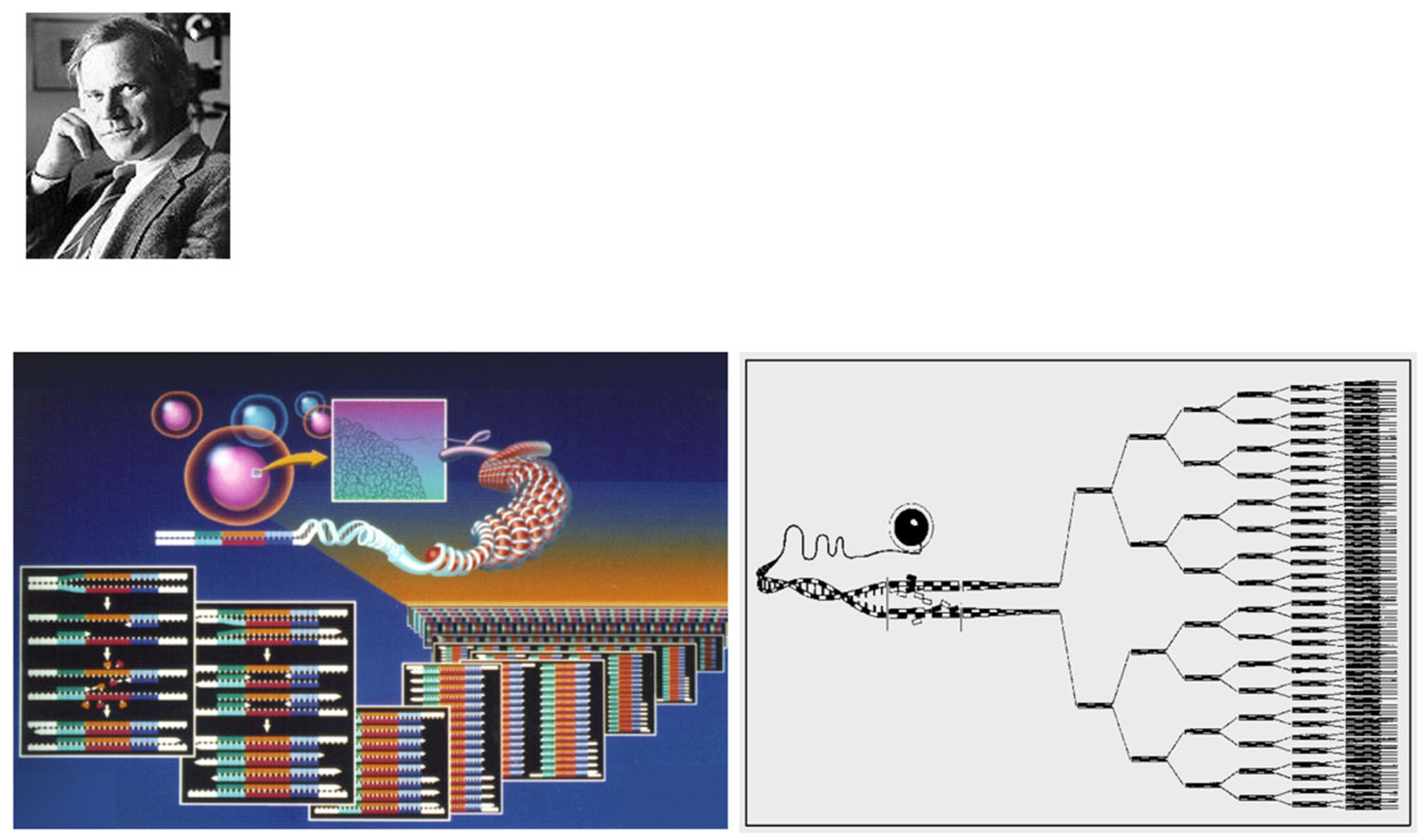 Biomedicines 13 02470 g023
