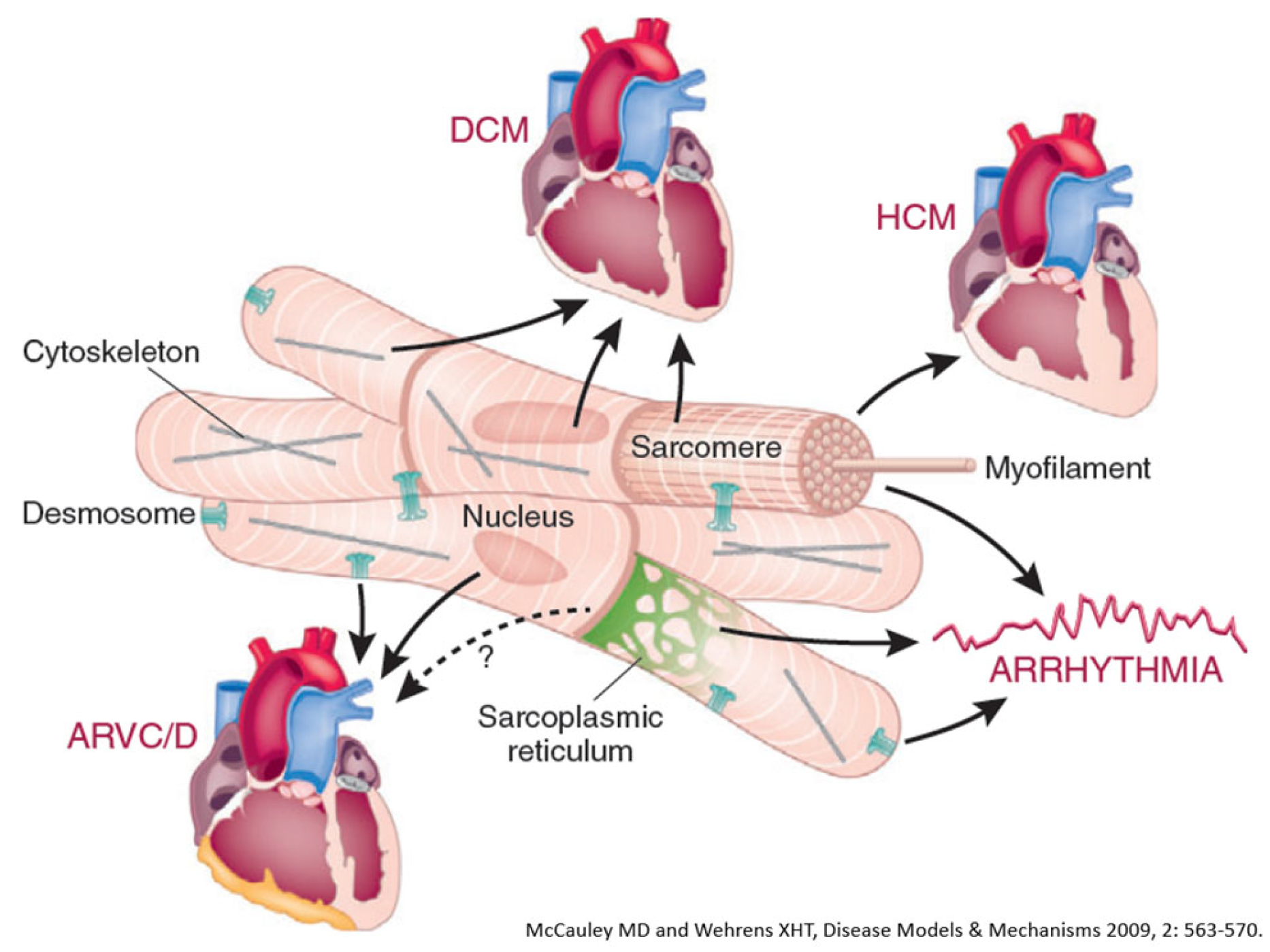 Biomedicines 13 02470 g024