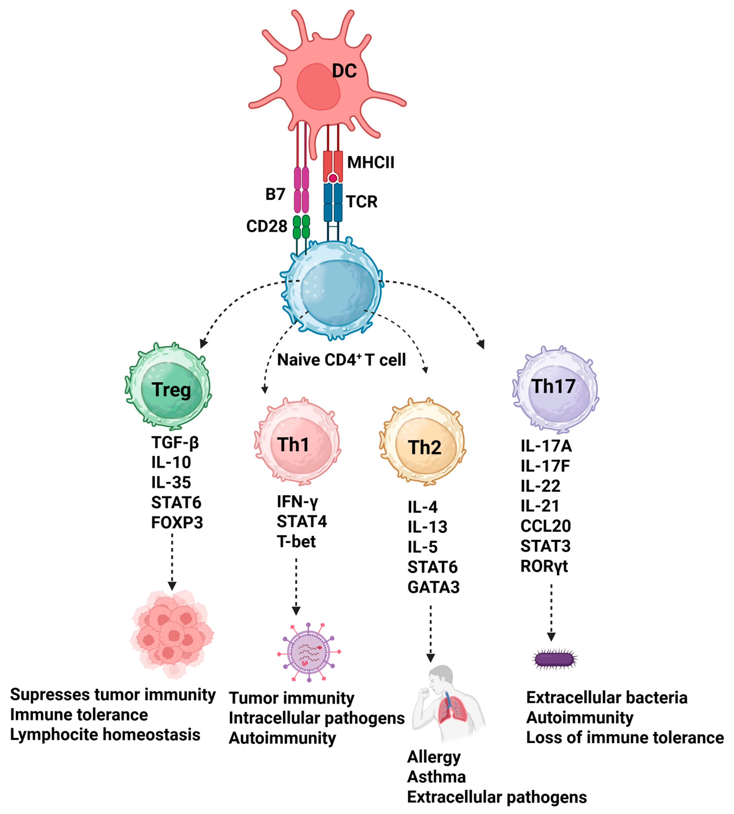 Biomedicines 13 02472 g001 Biomedicines 13 02472 g001