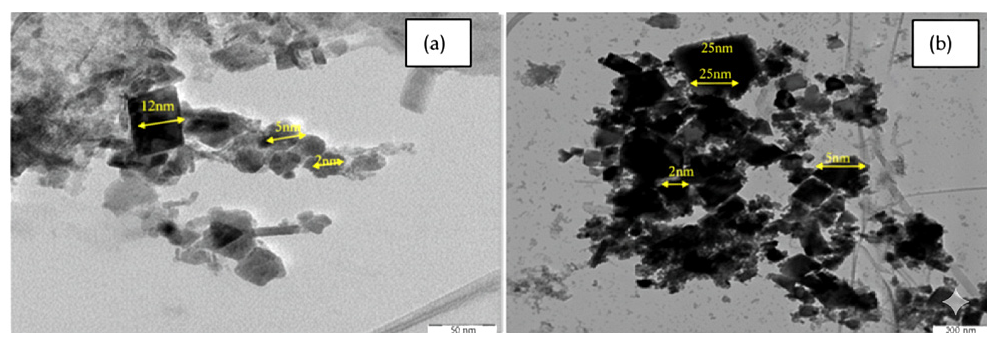 Biomedicines 13 02476 g003