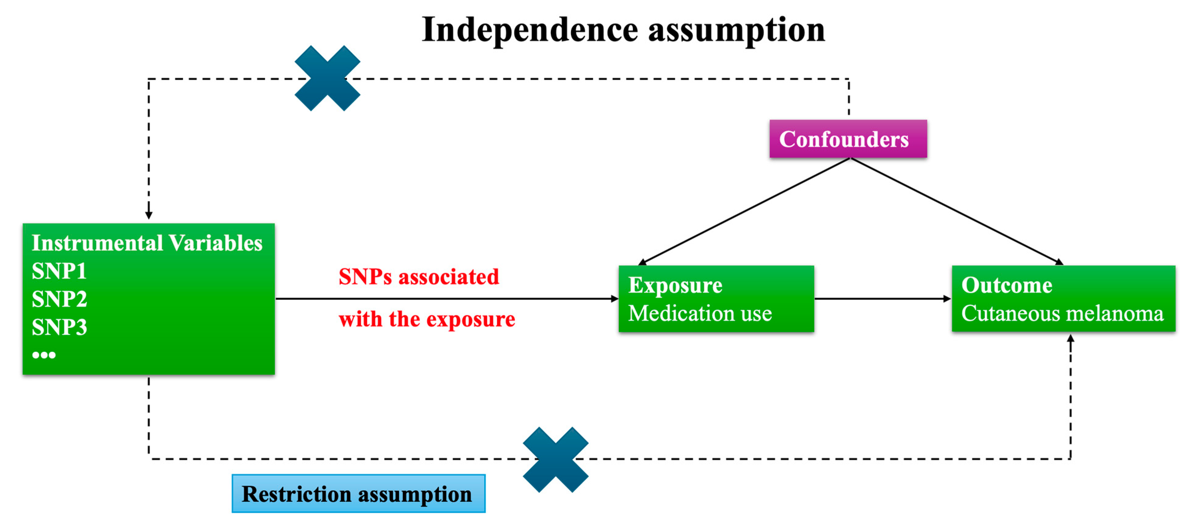Biomedicines 13 02477 g001