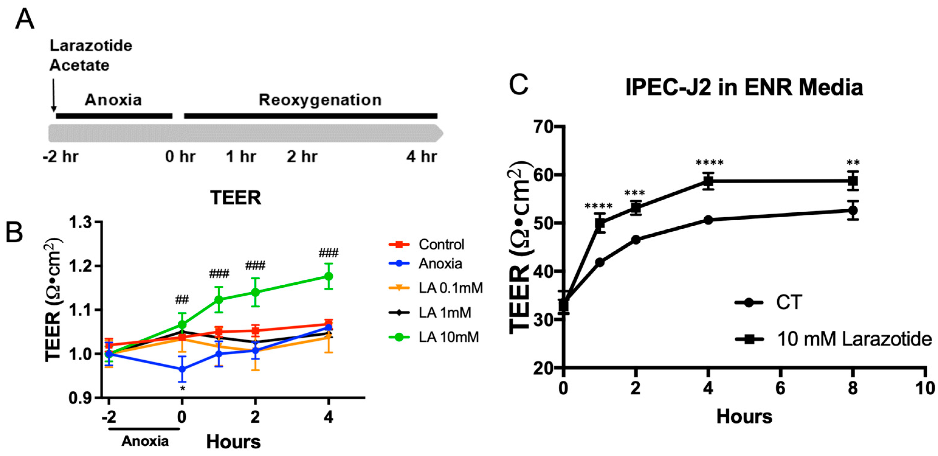 Biomedicines 13 02483 g001
