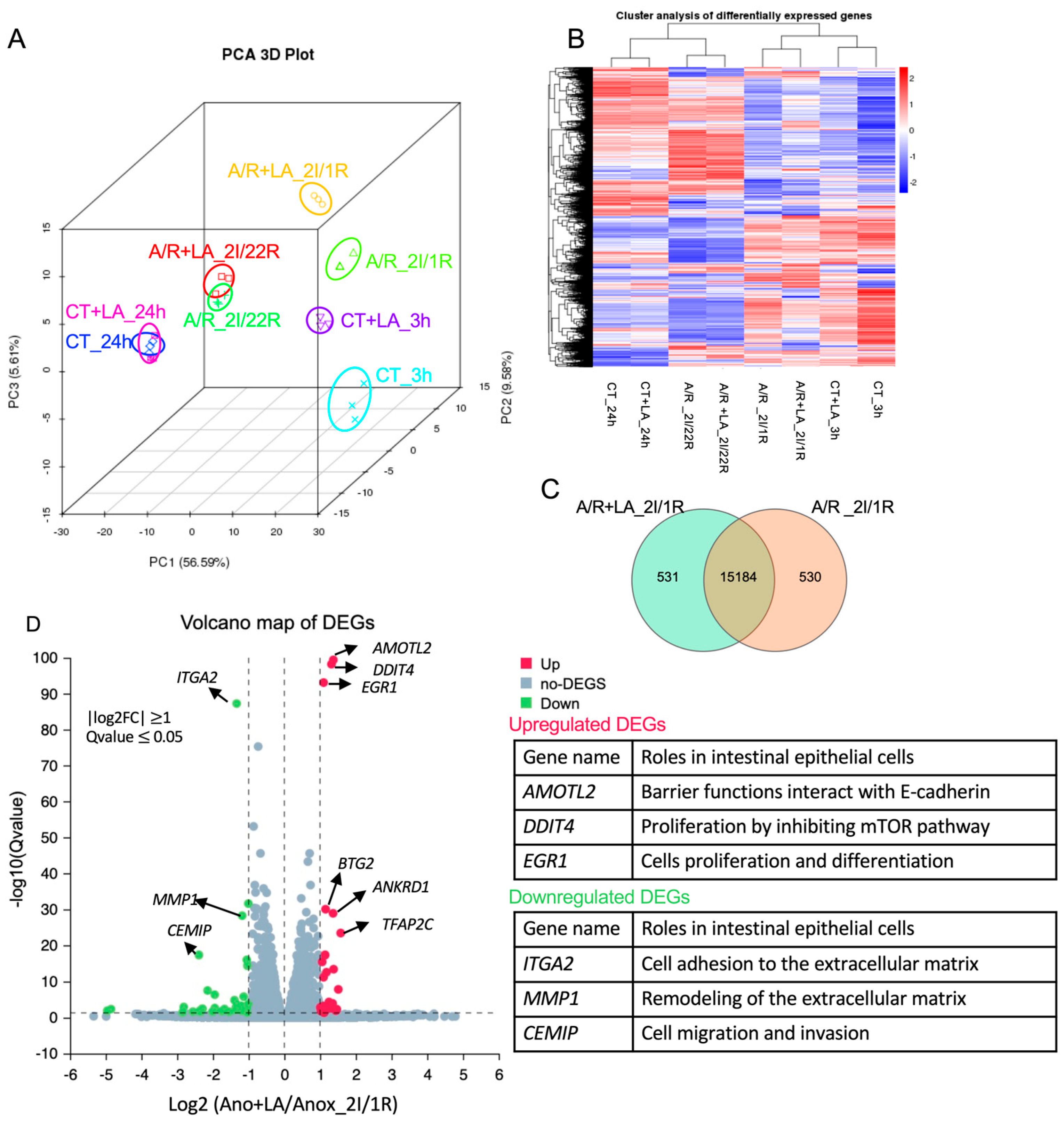 Biomedicines 13 02483 g003
