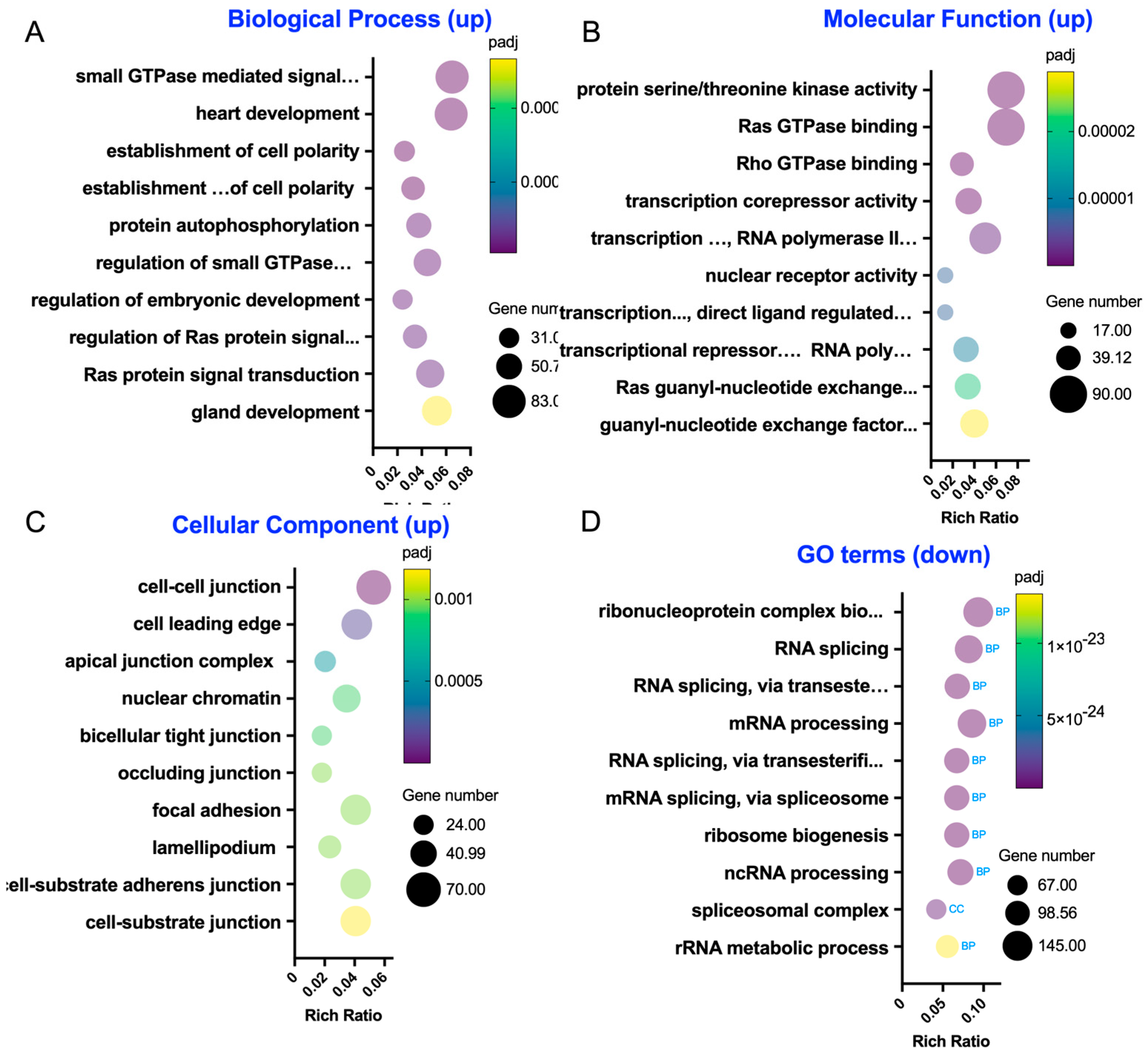 Biomedicines 13 02483 g004