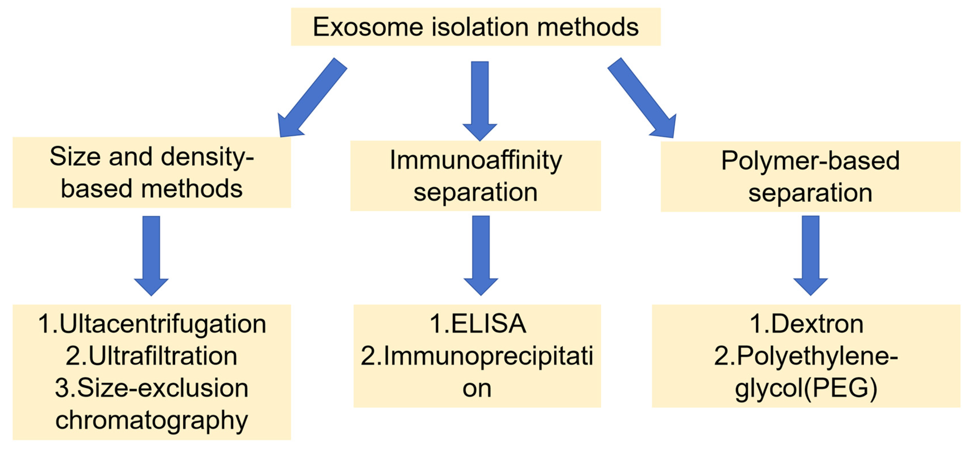 Biomedicines 13 02486 g002