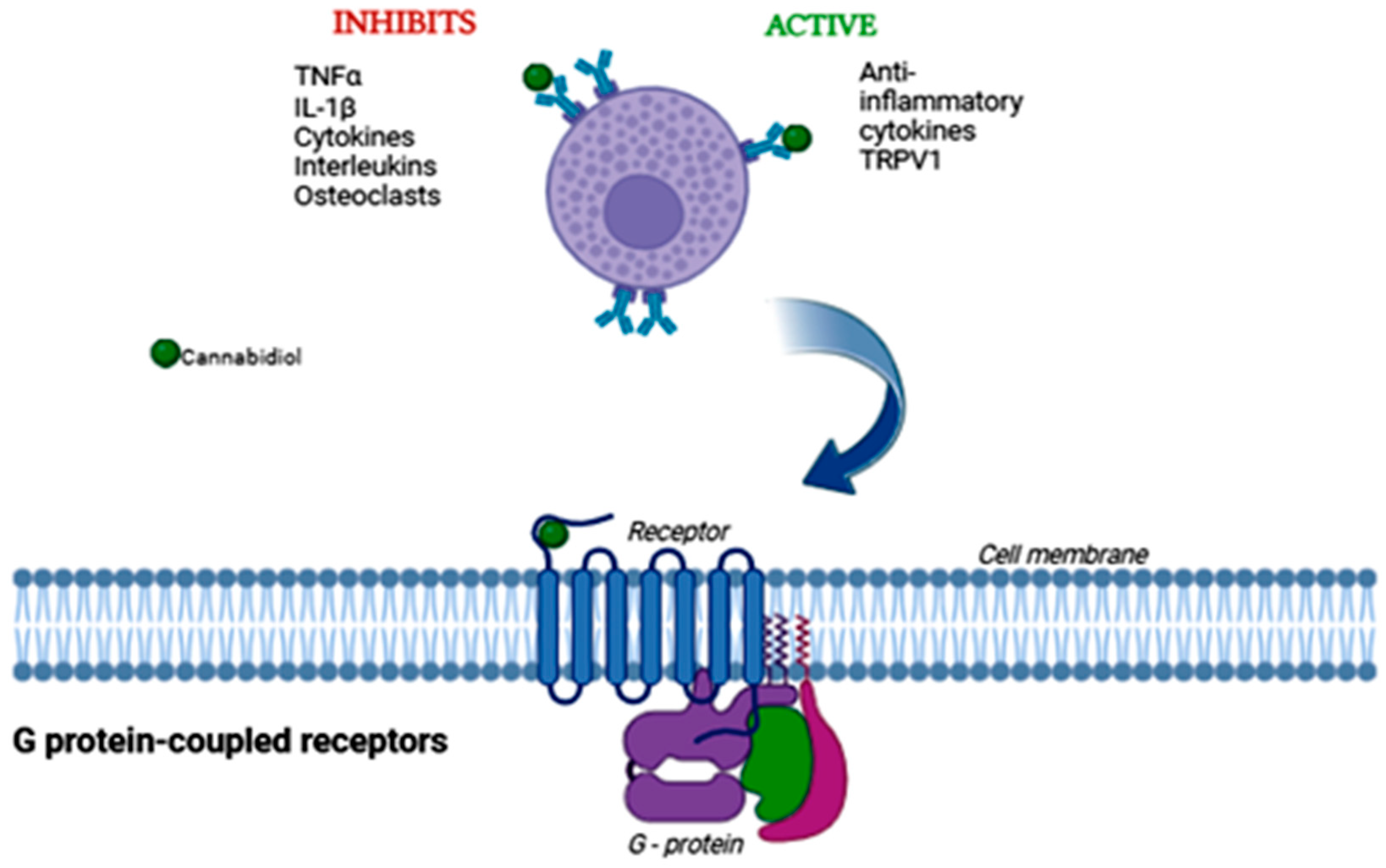 Biomedicines 13 02490 g006