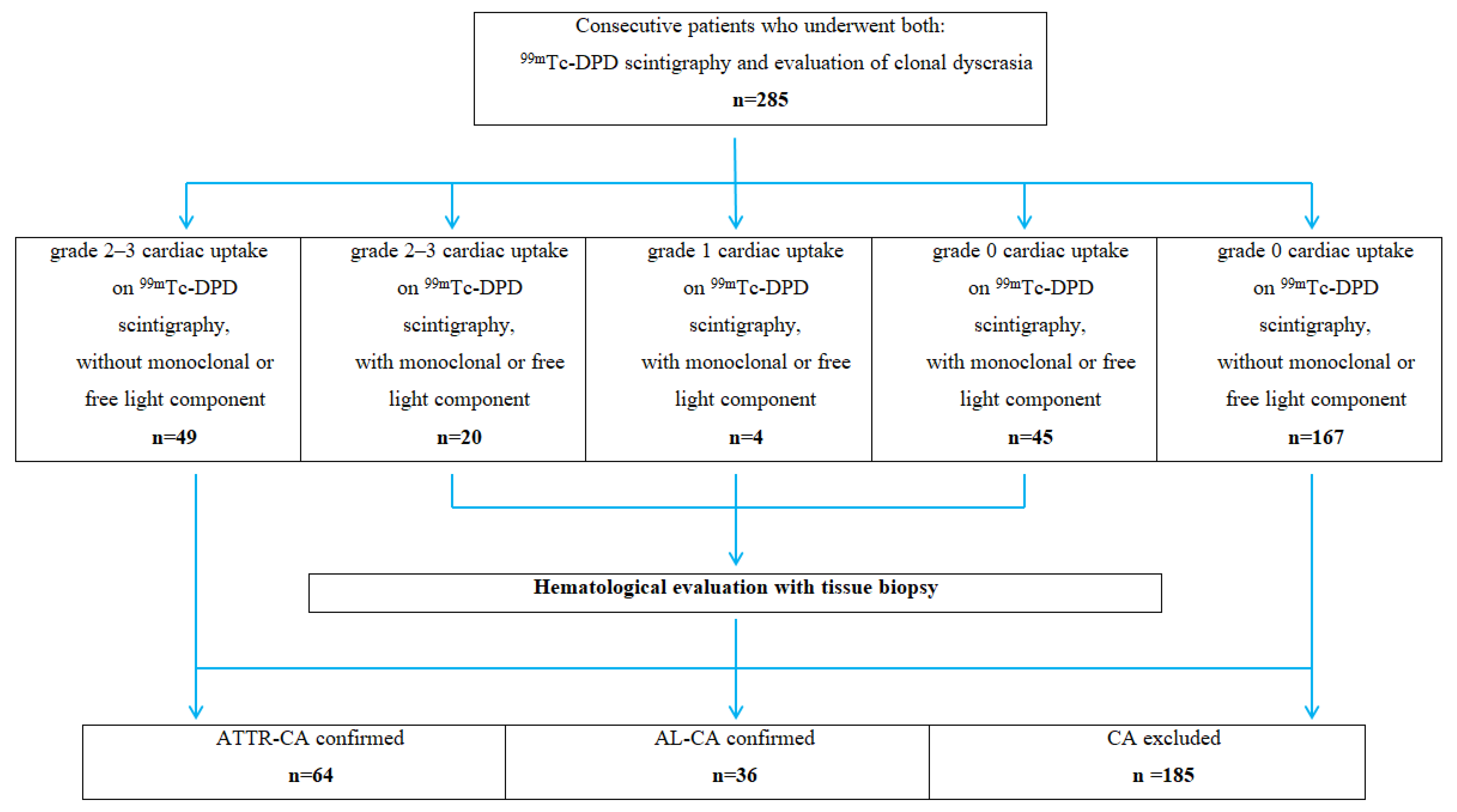 Biomedicines 13 02493 g001