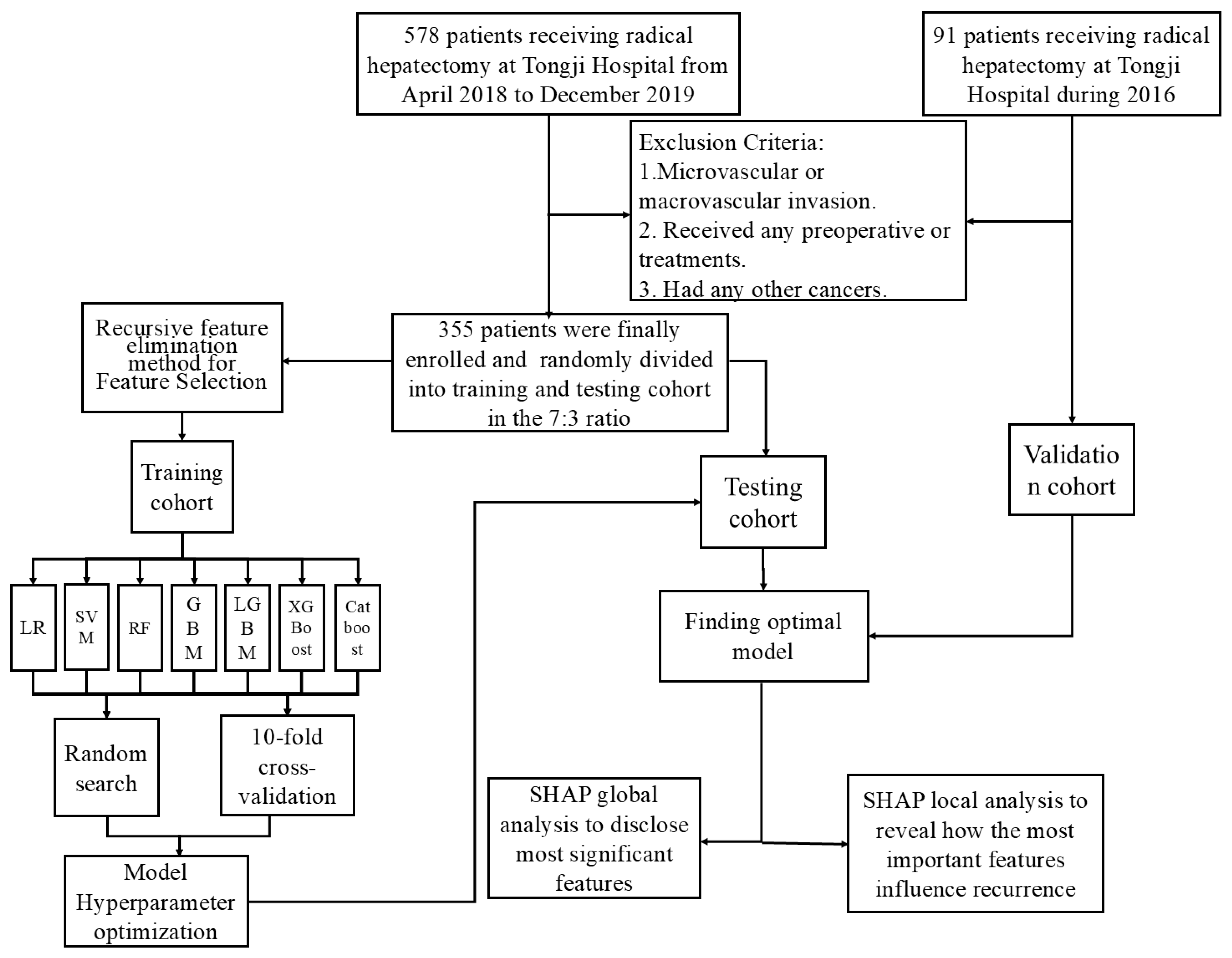 Biomedicines 13 02507 g001