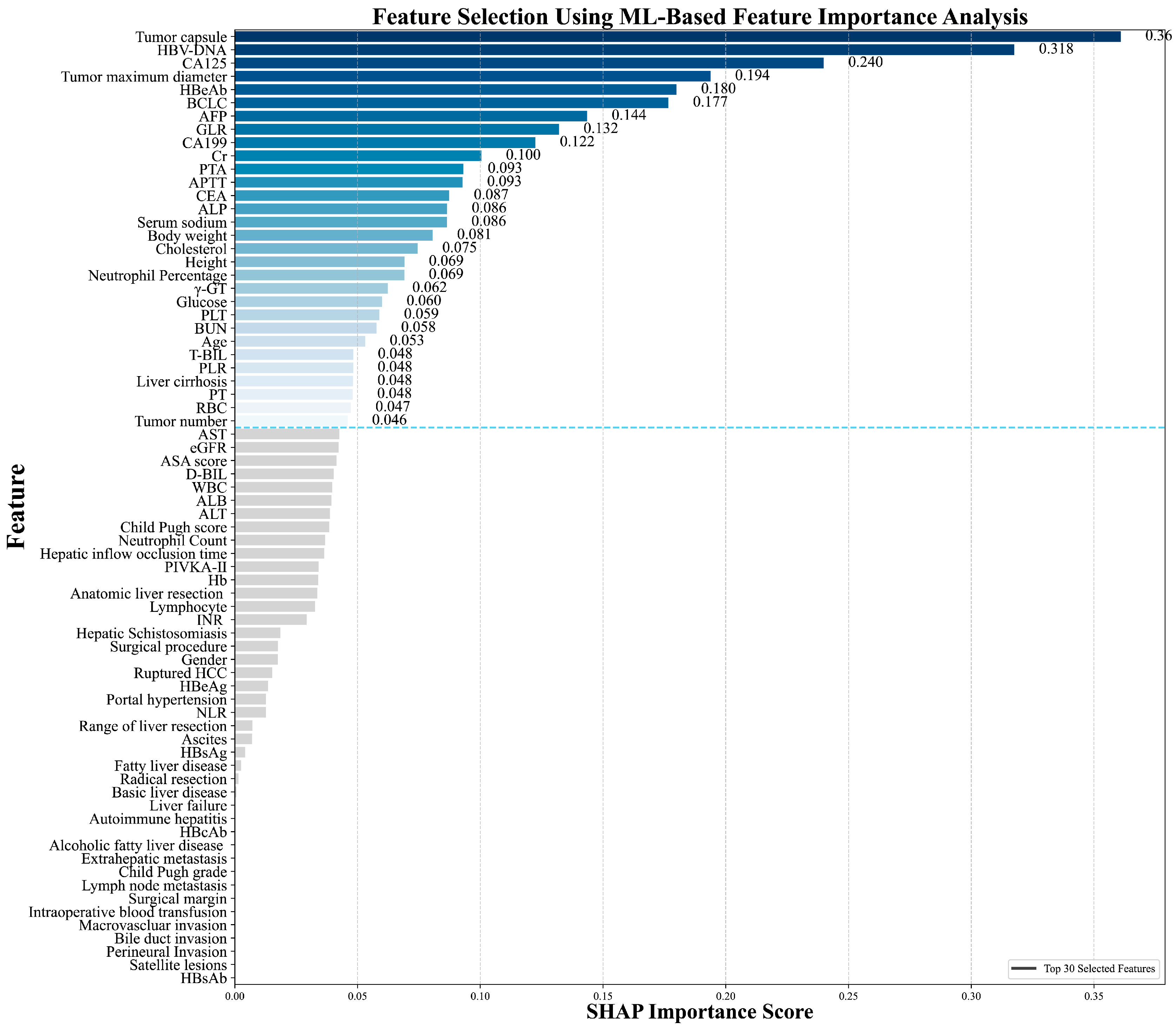 Biomedicines 13 02507 g002