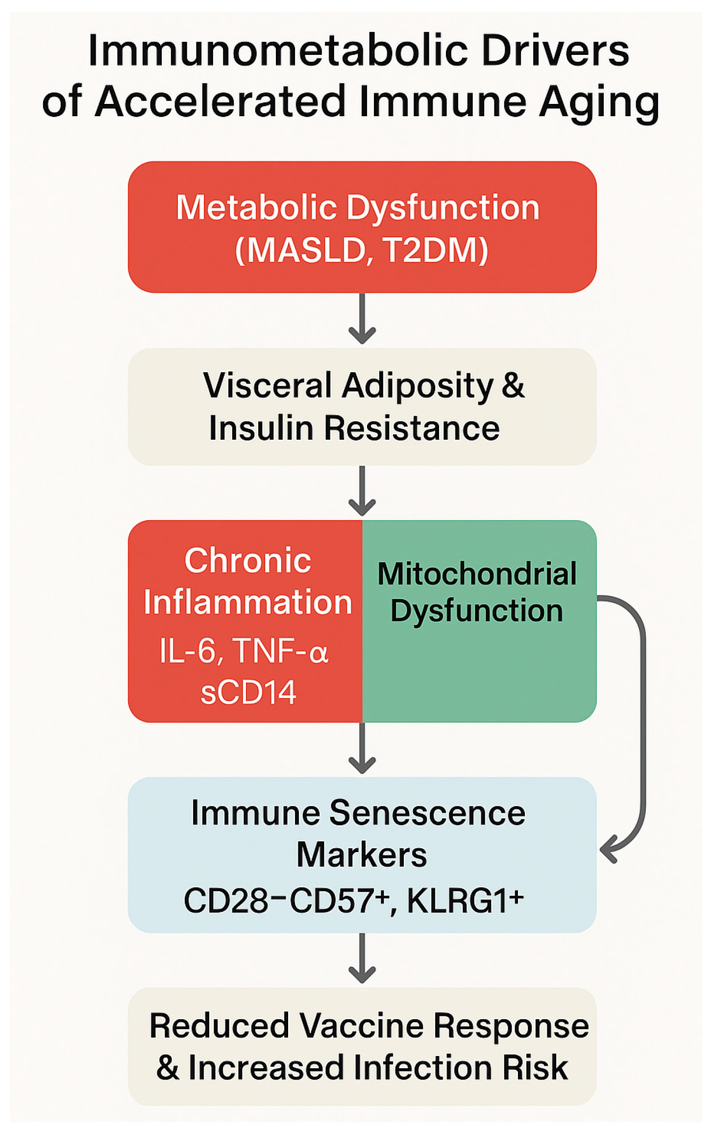 Biomedicines 13 02513 g004