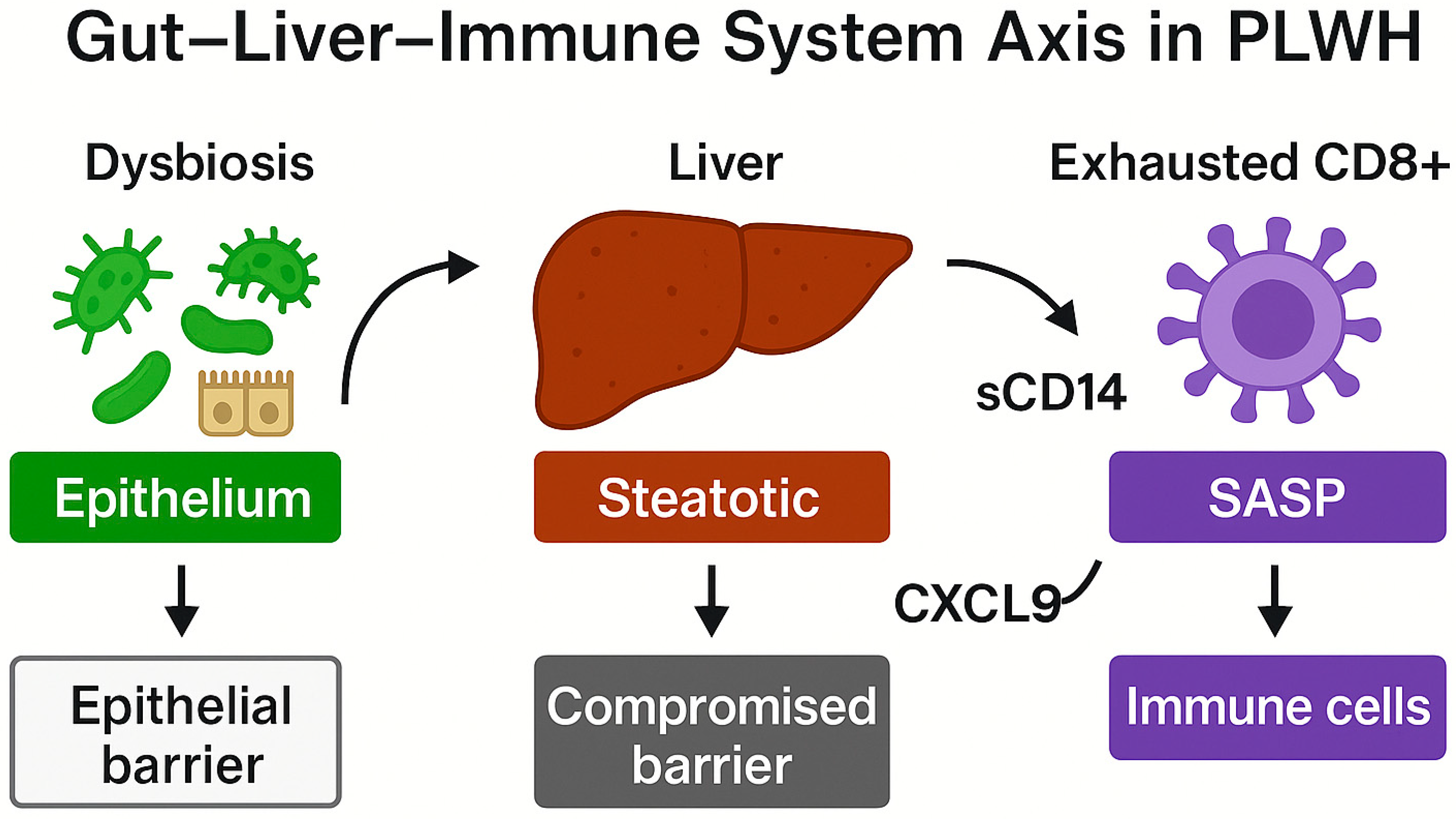 Biomedicines 13 02513 g005