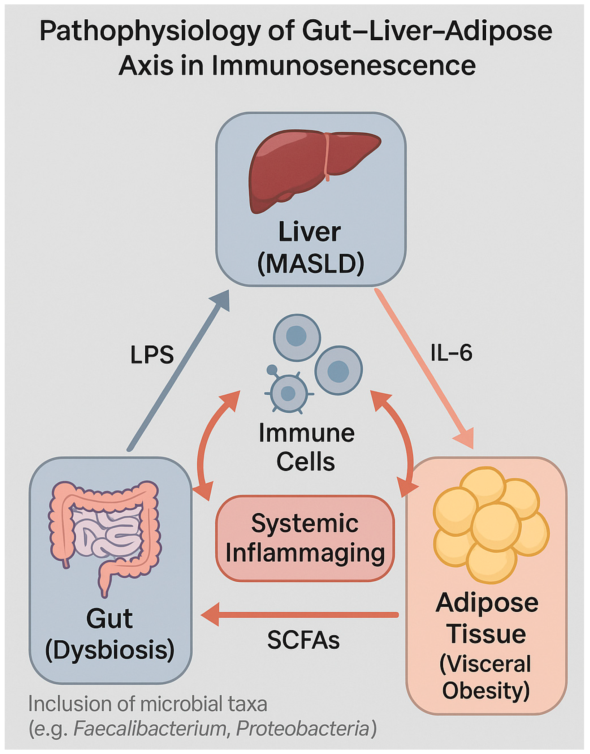 Biomedicines 13 02513 g006