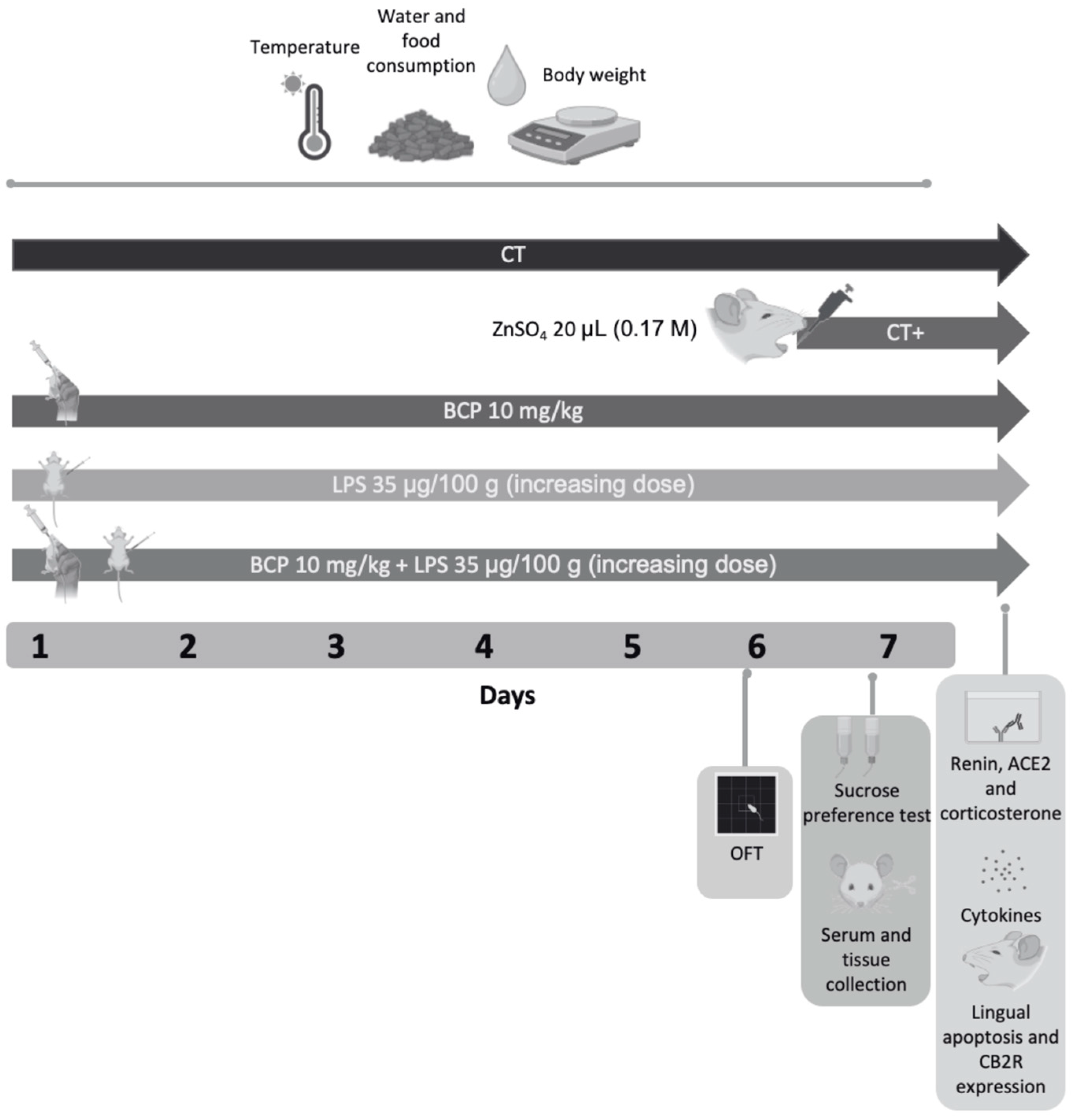 Biomedicines 13 02514 g001