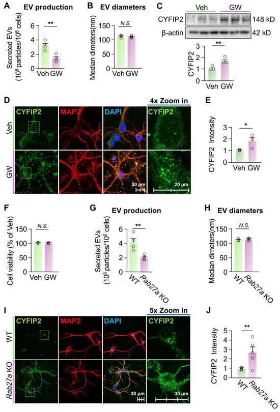 Biomedicines 13 02518 g002