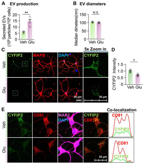 Biomedicines 13 02518 g003