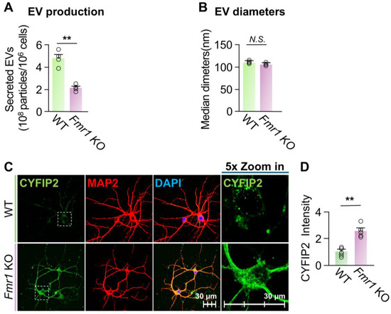 Biomedicines 13 02518 g004