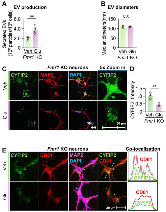 Biomedicines 13 02518 g005