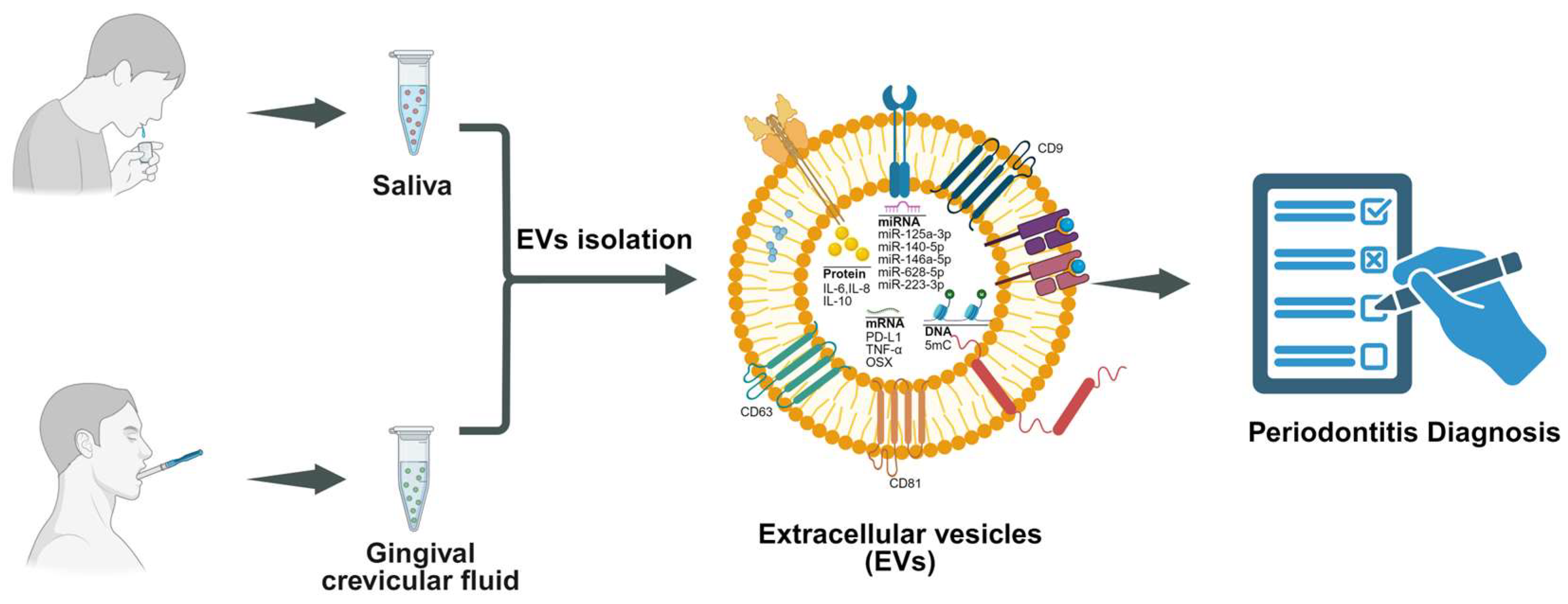 Biomedicines 13 02521 g004 Biomedicines 13 02521 g004