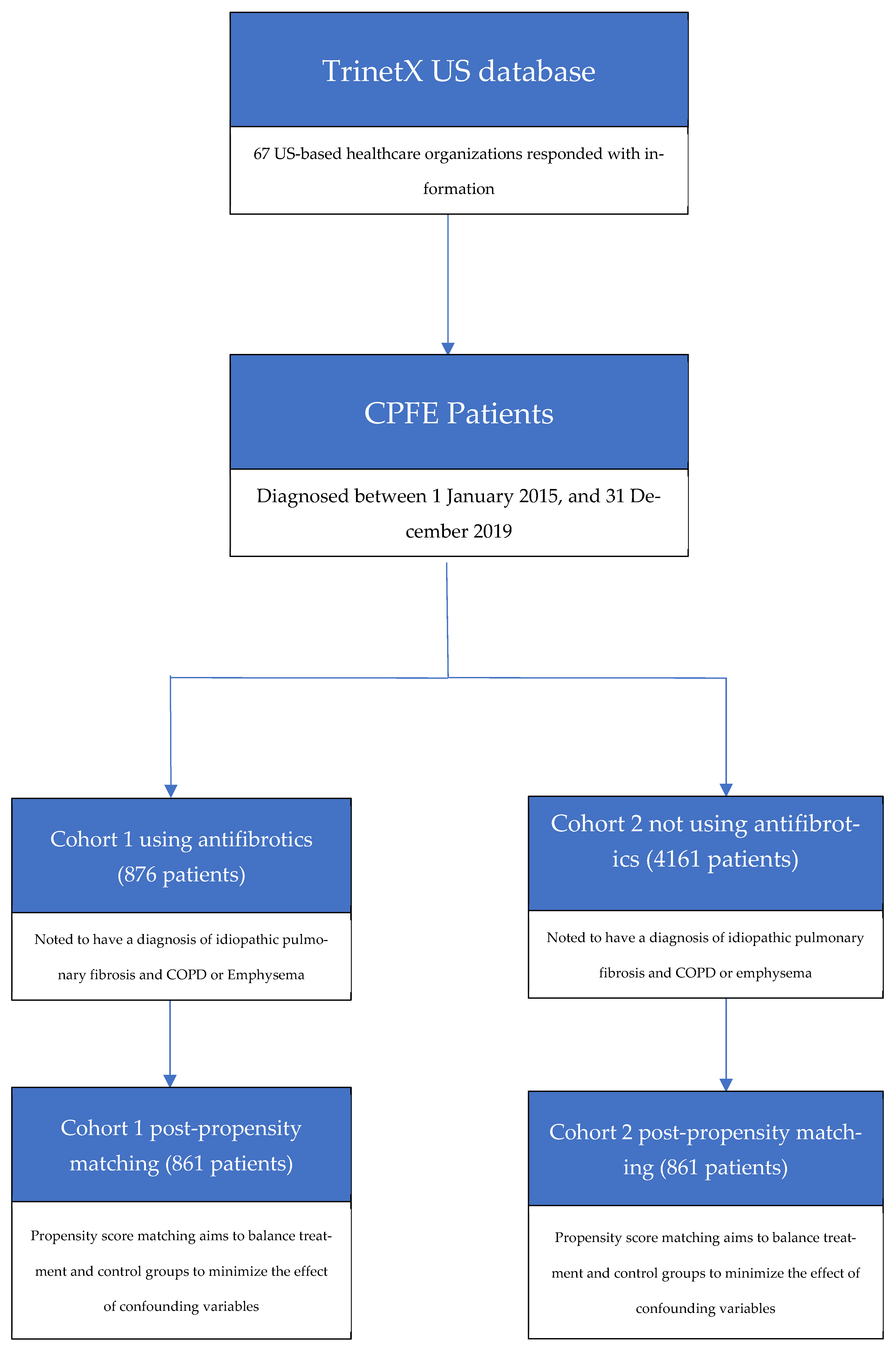 Biomedicines 13 02522 g001
