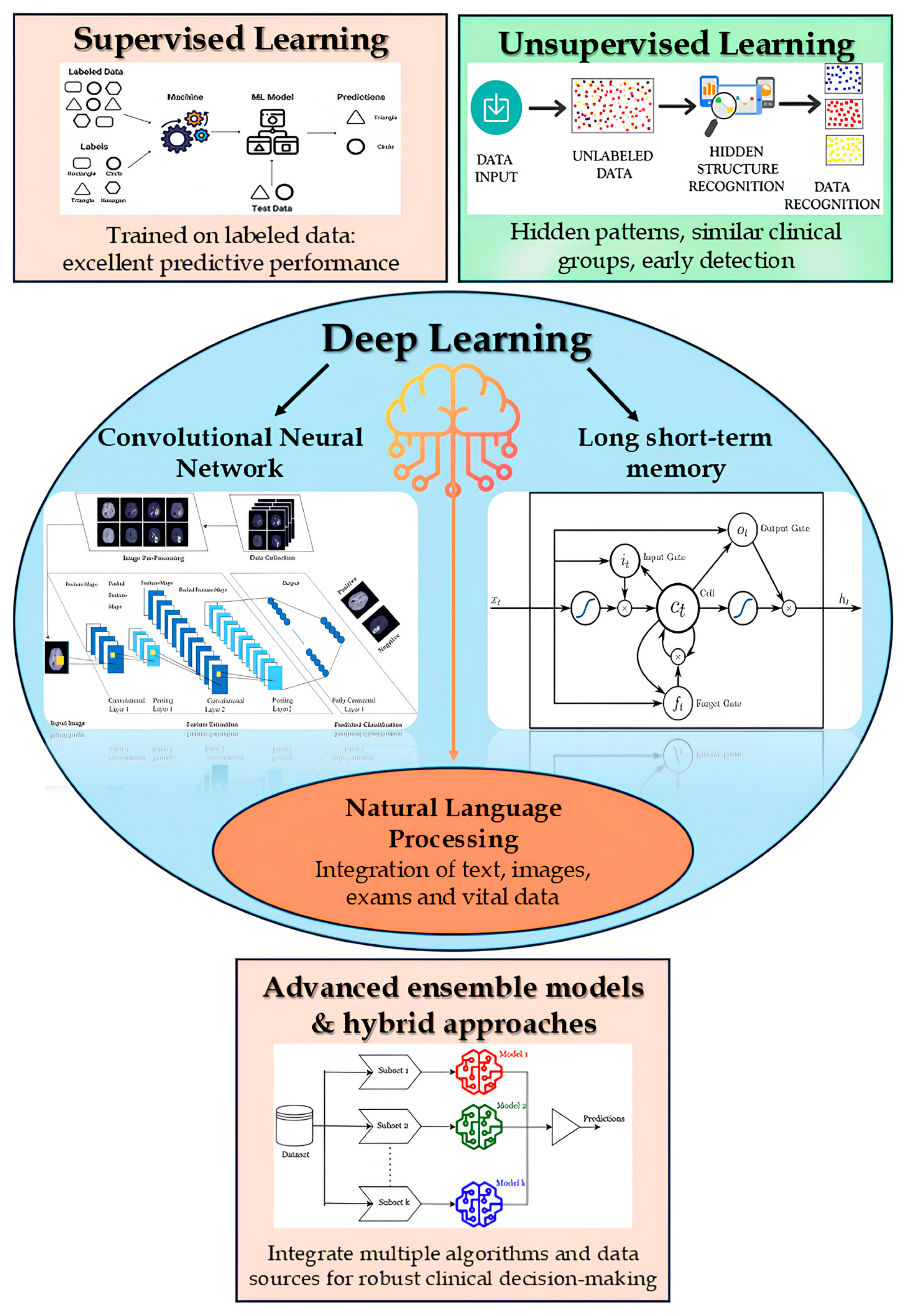 Biomedicines 13 02525 g002