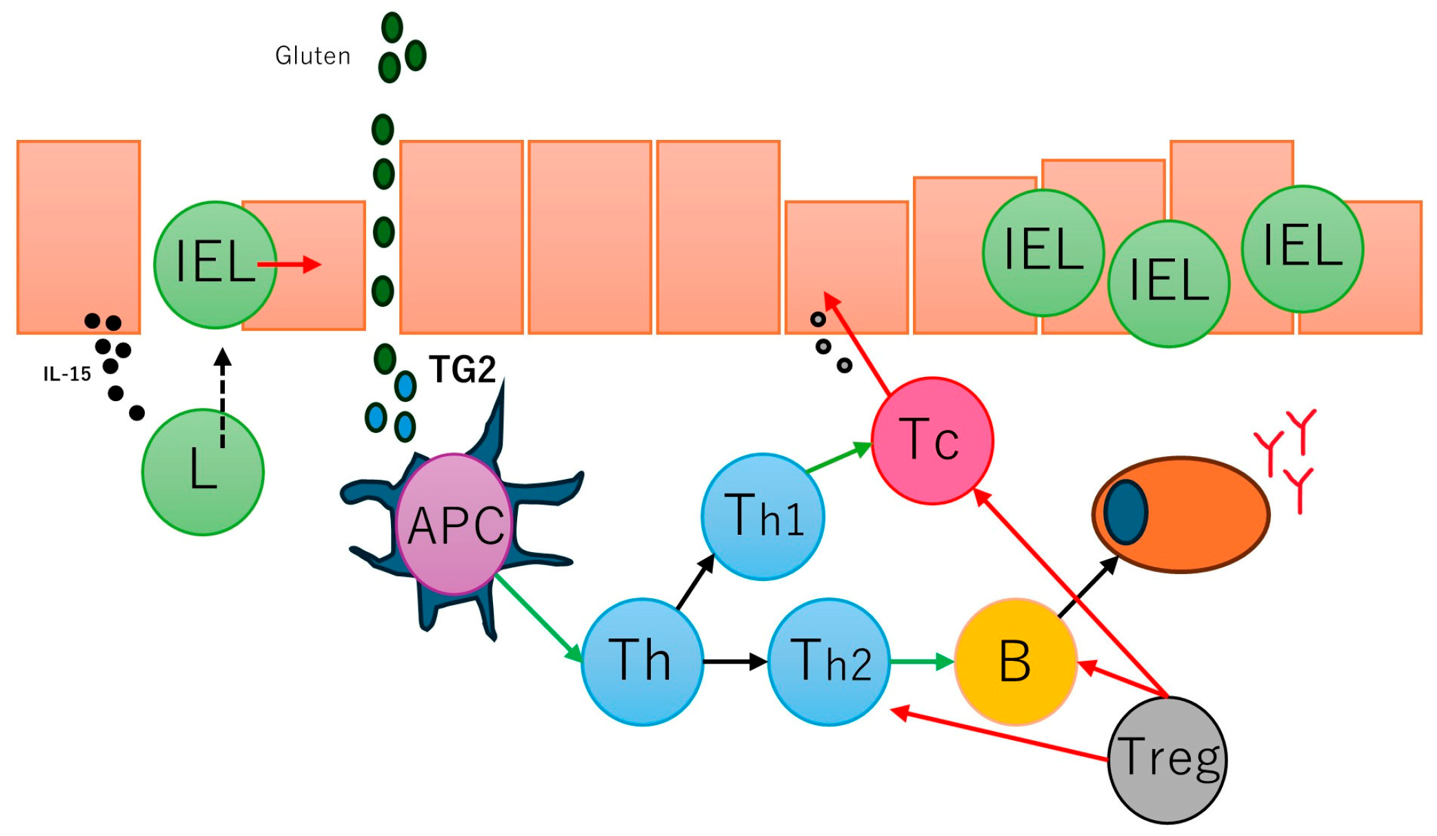 Biomedicines 13 02526 g003