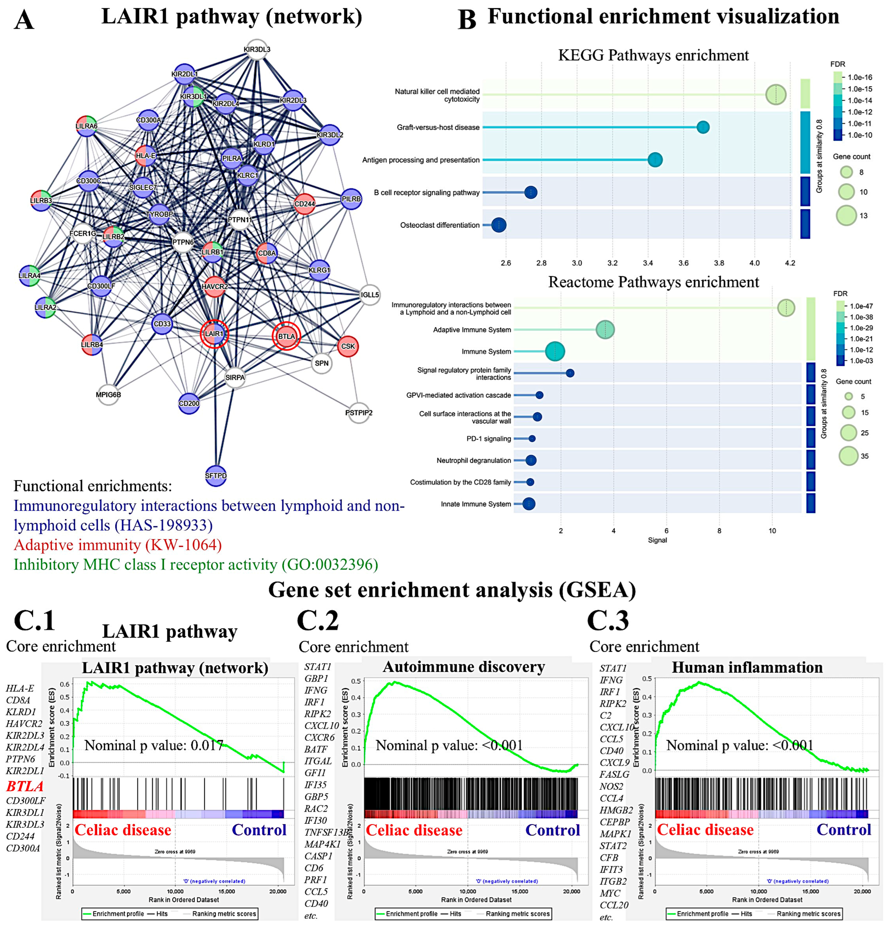 Biomedicines 13 02526 g016