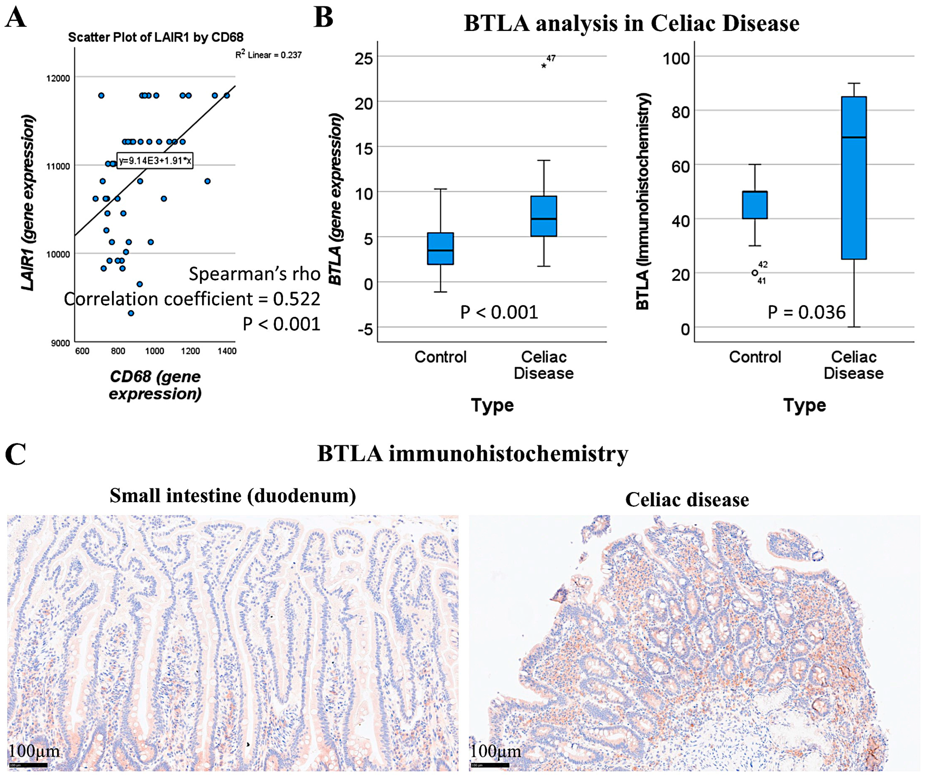 Biomedicines 13 02526 g017