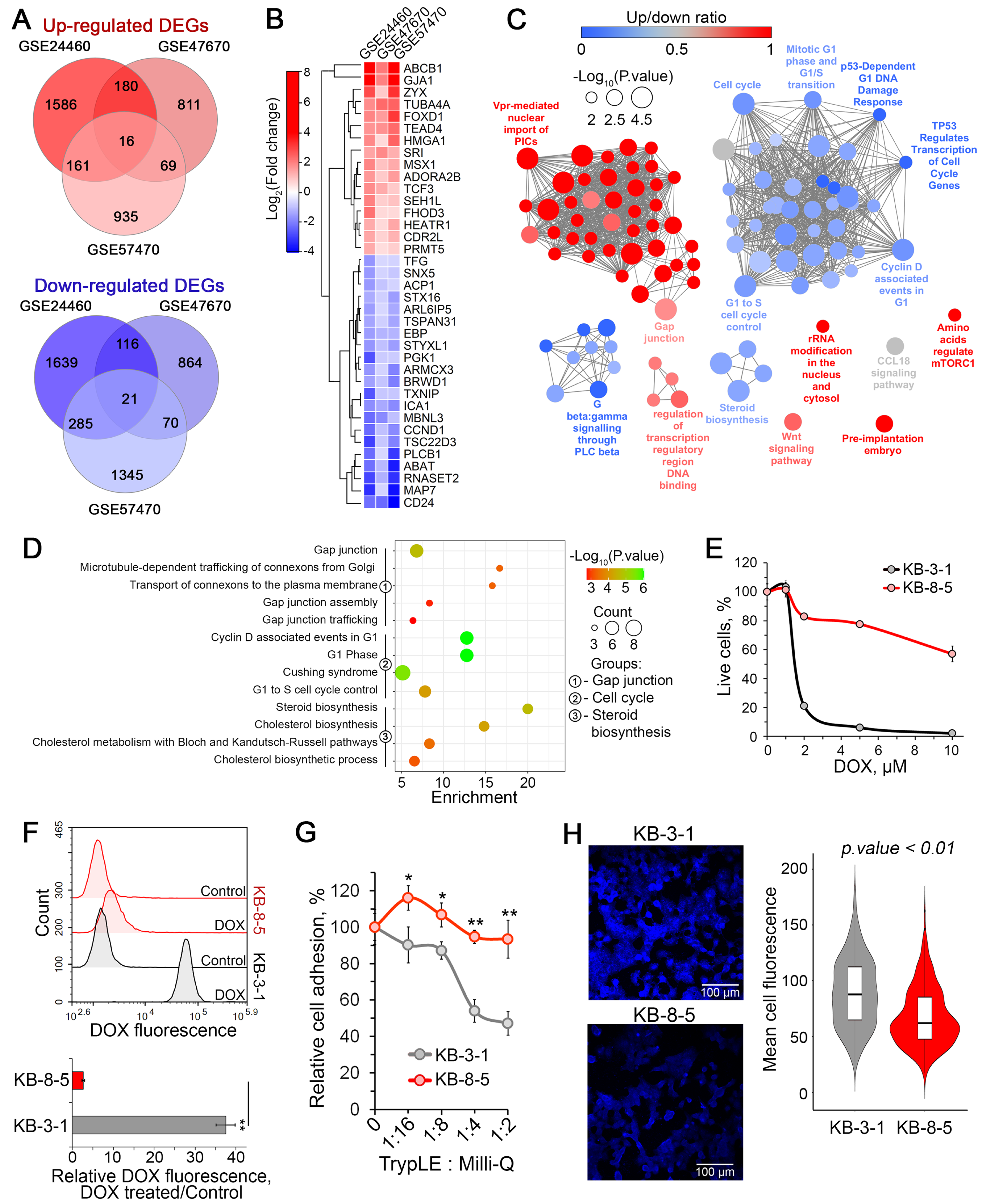 Biomedicines 13 02527 g004
